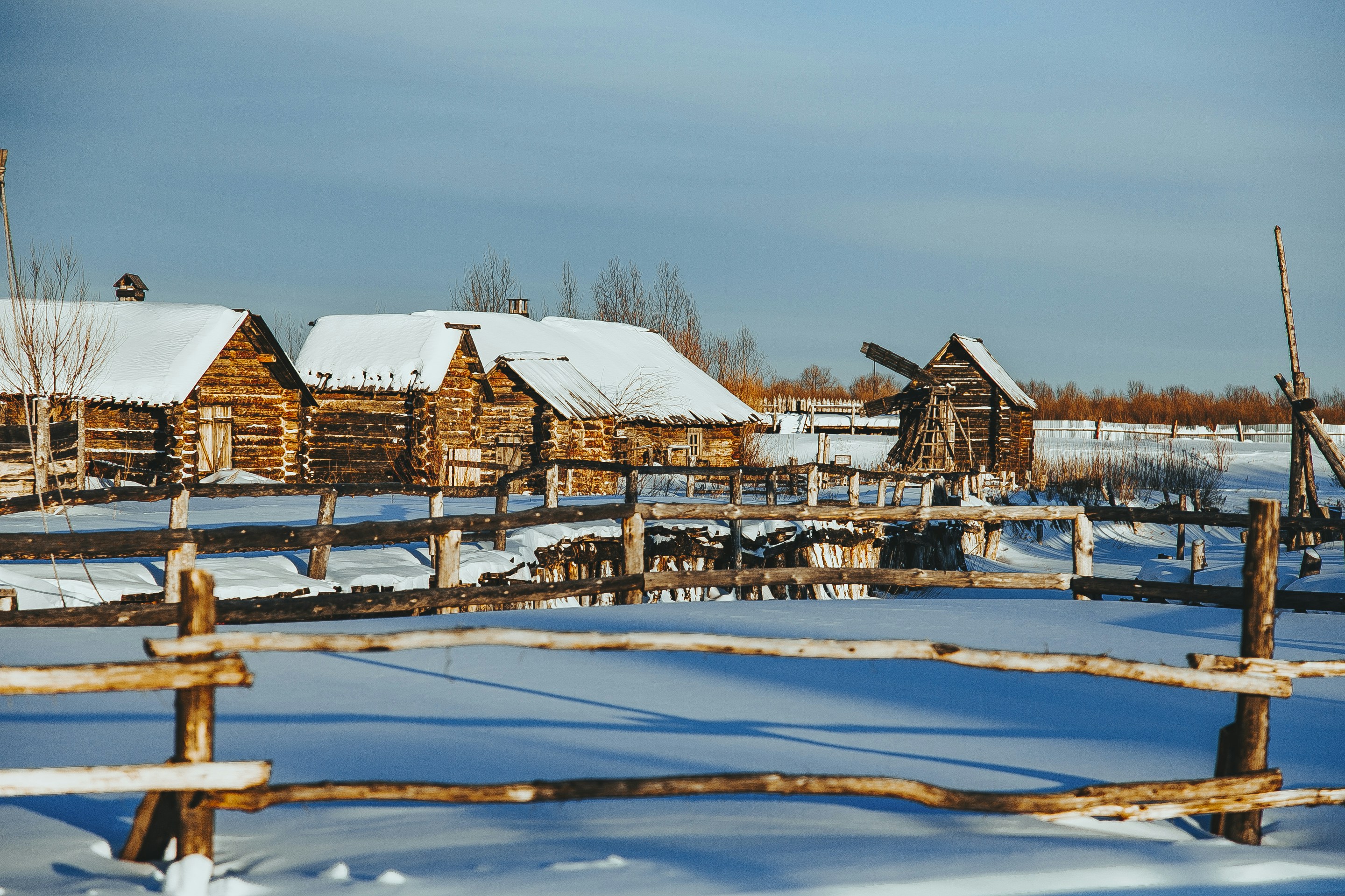 Photo by albert_klein