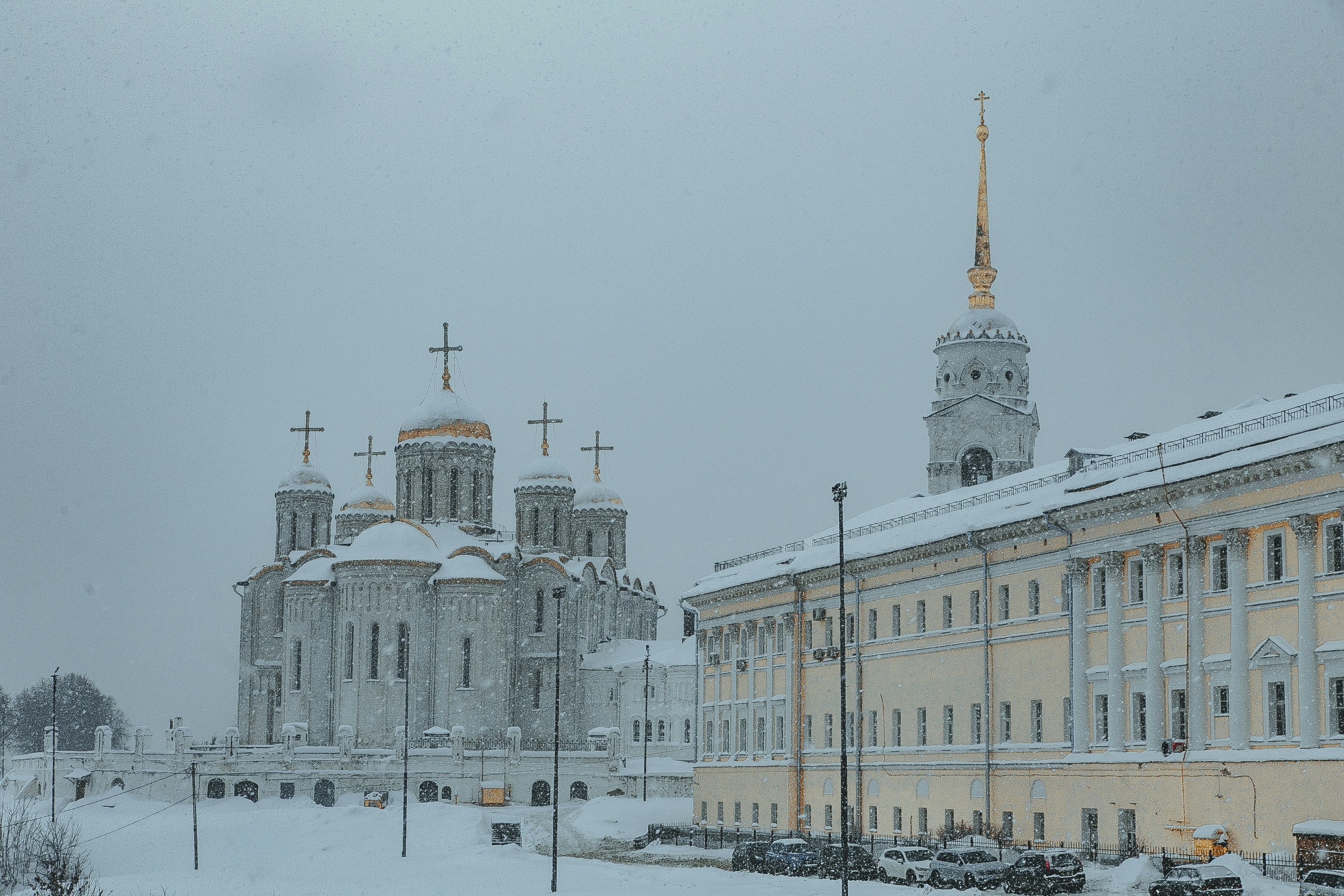 Photo by albert_klein