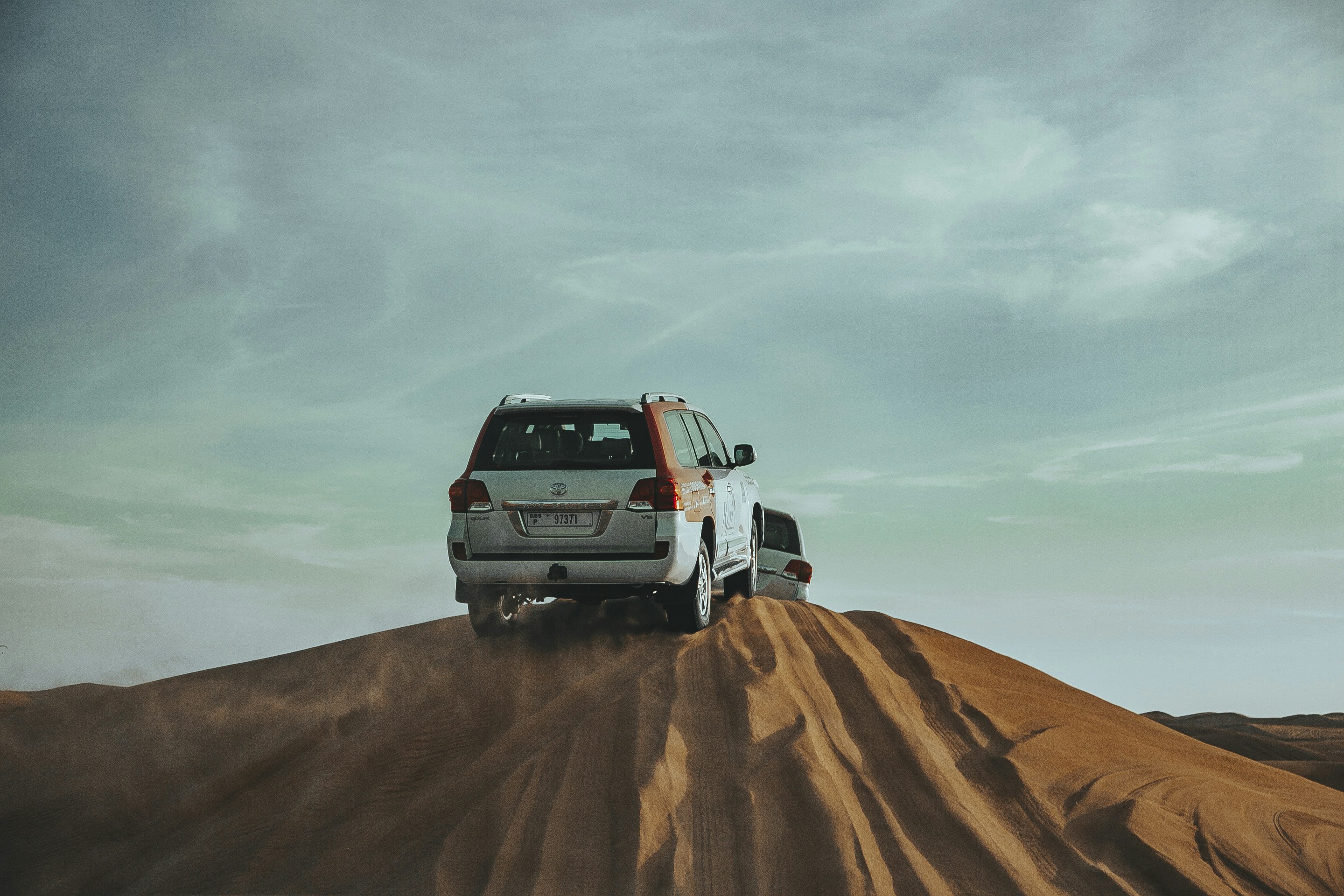 Photo by albert_klein