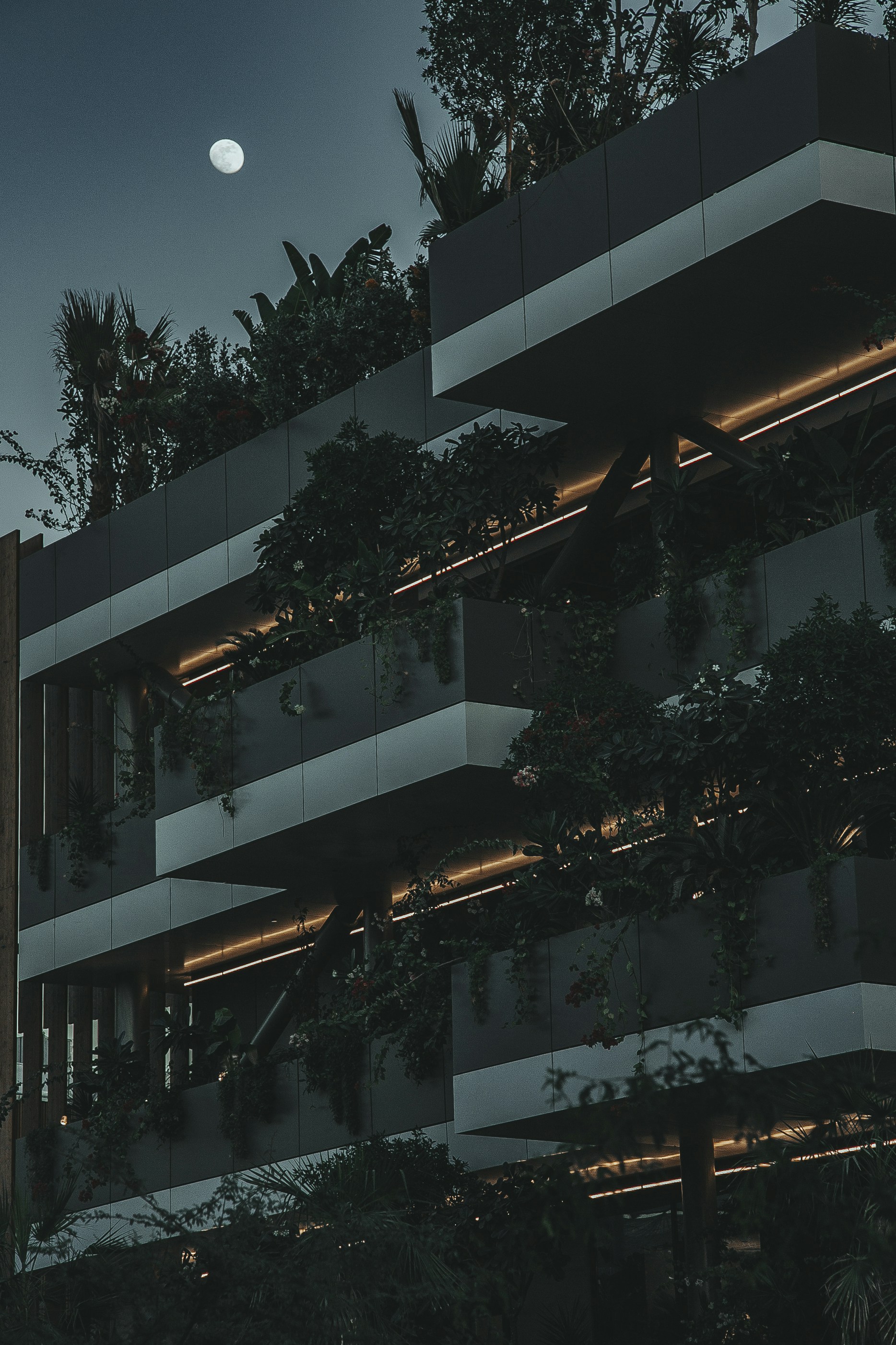 Photo by albert_klein