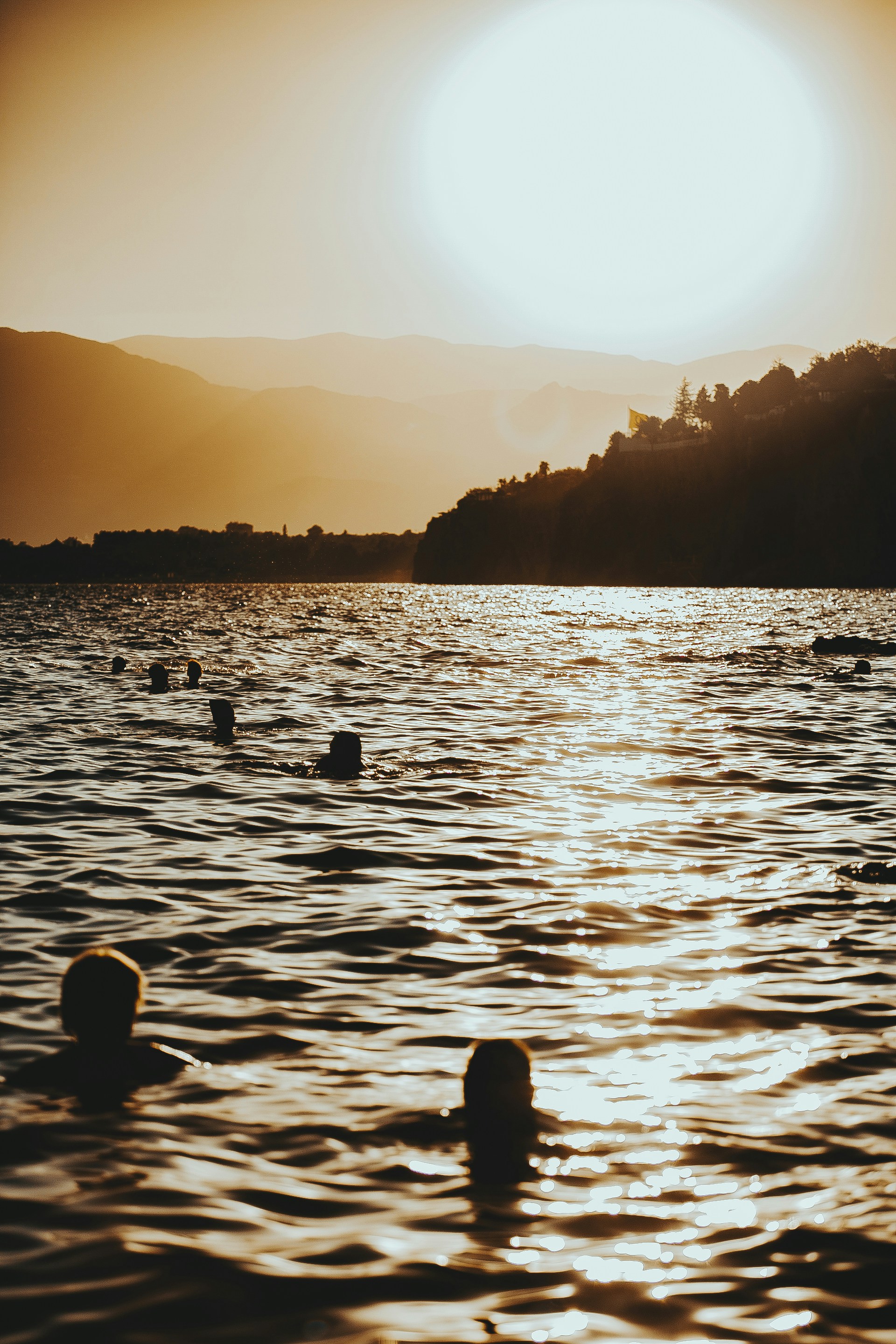 Photo by albert_klein