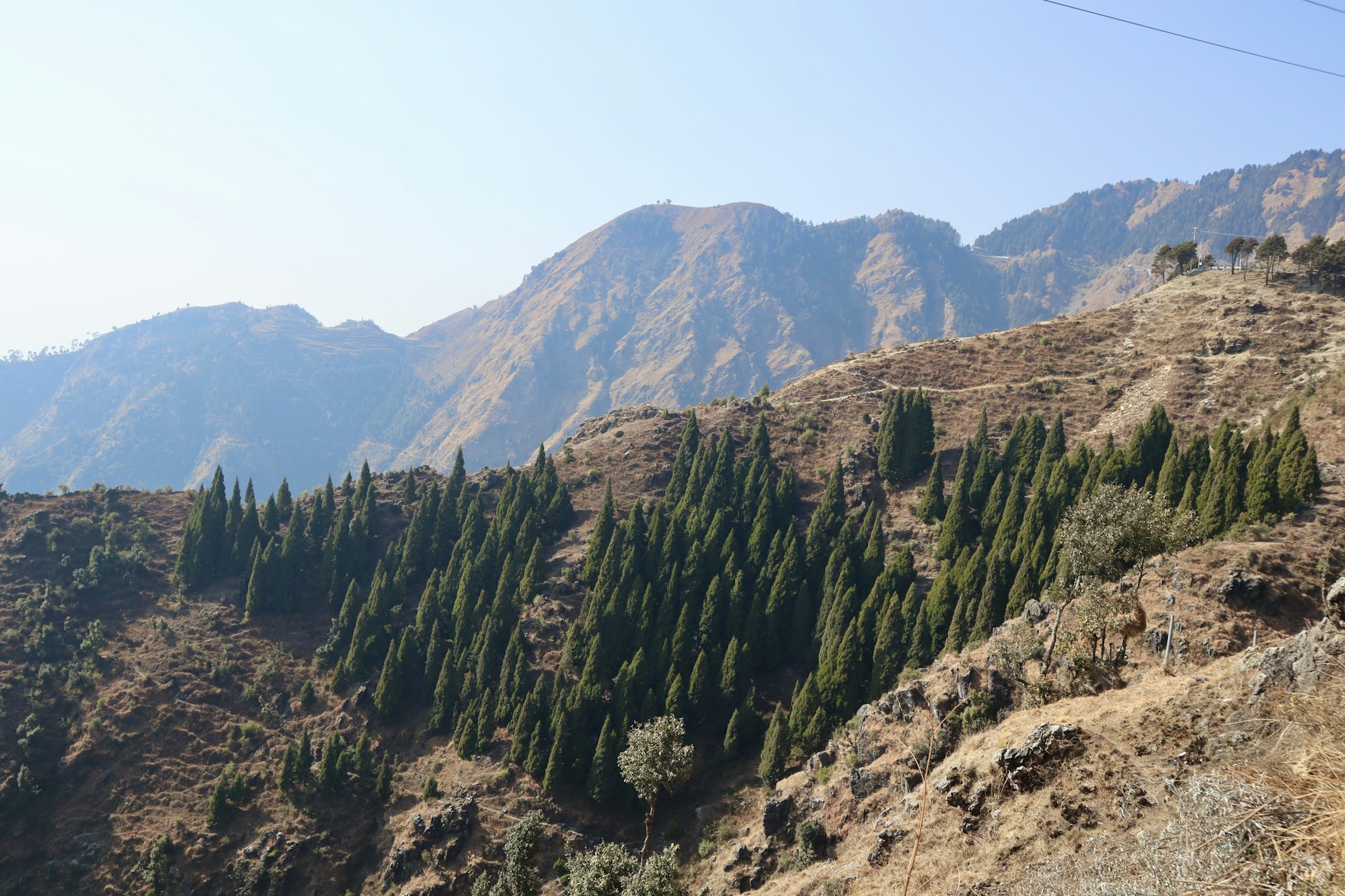 a view of a mountain with trees on the side of it