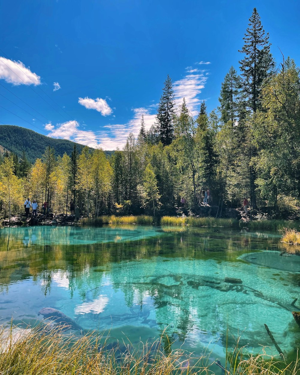 a lake in the middle of a forest