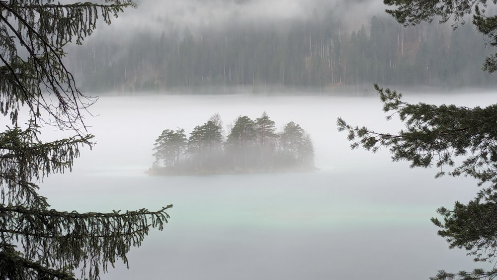 a small island in the middle of a lake