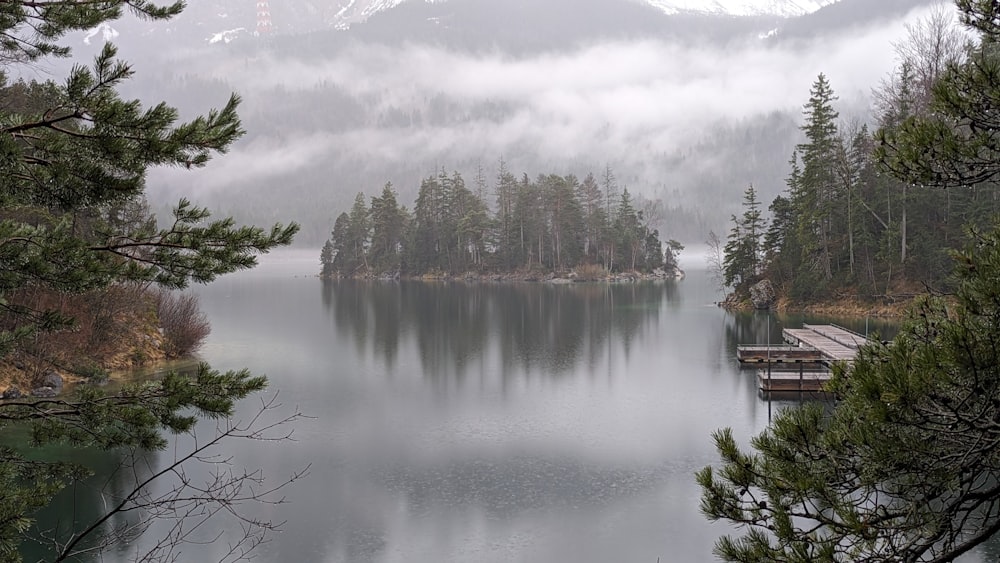 a body of water surrounded by trees and fog