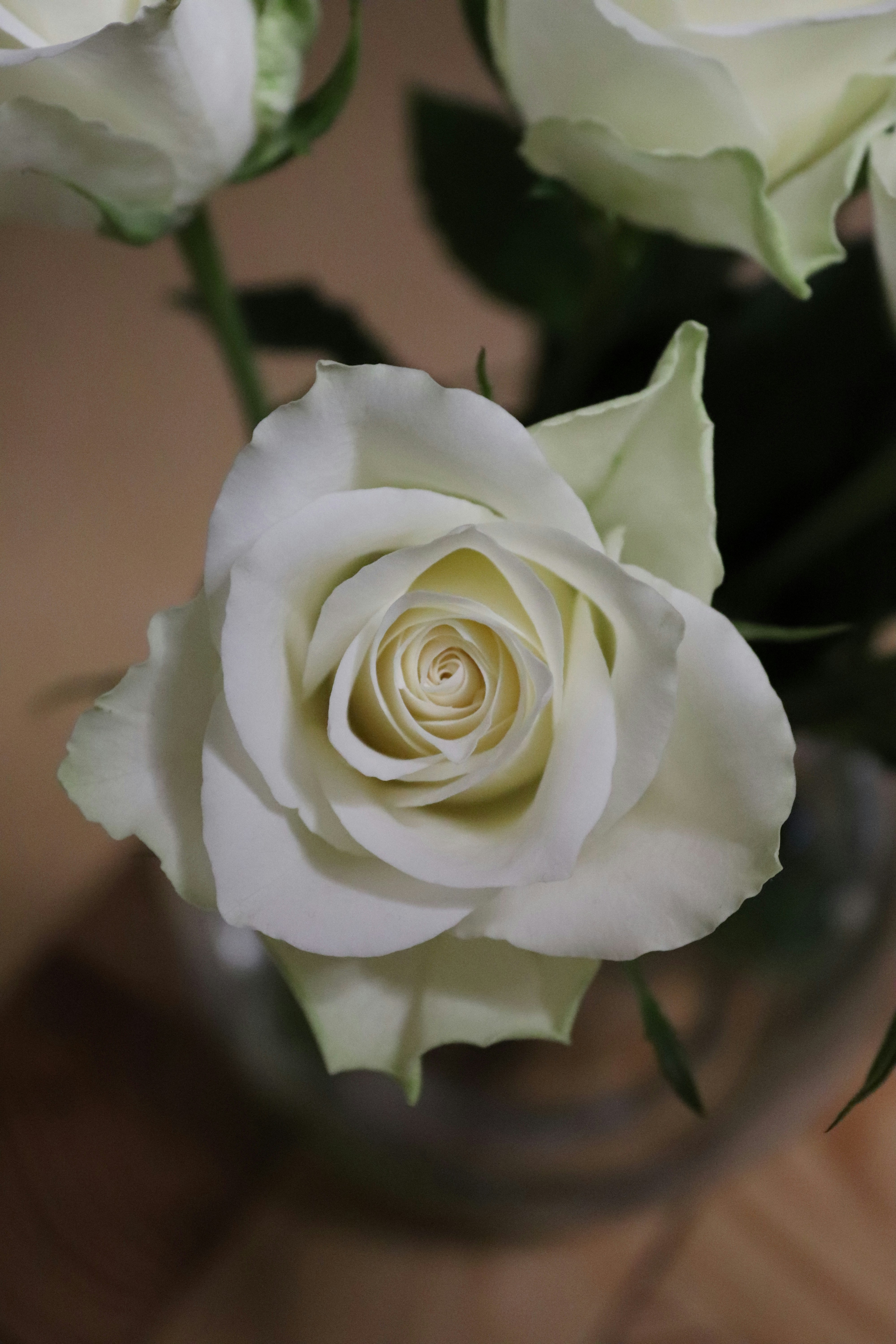 Photo by cancelcloud