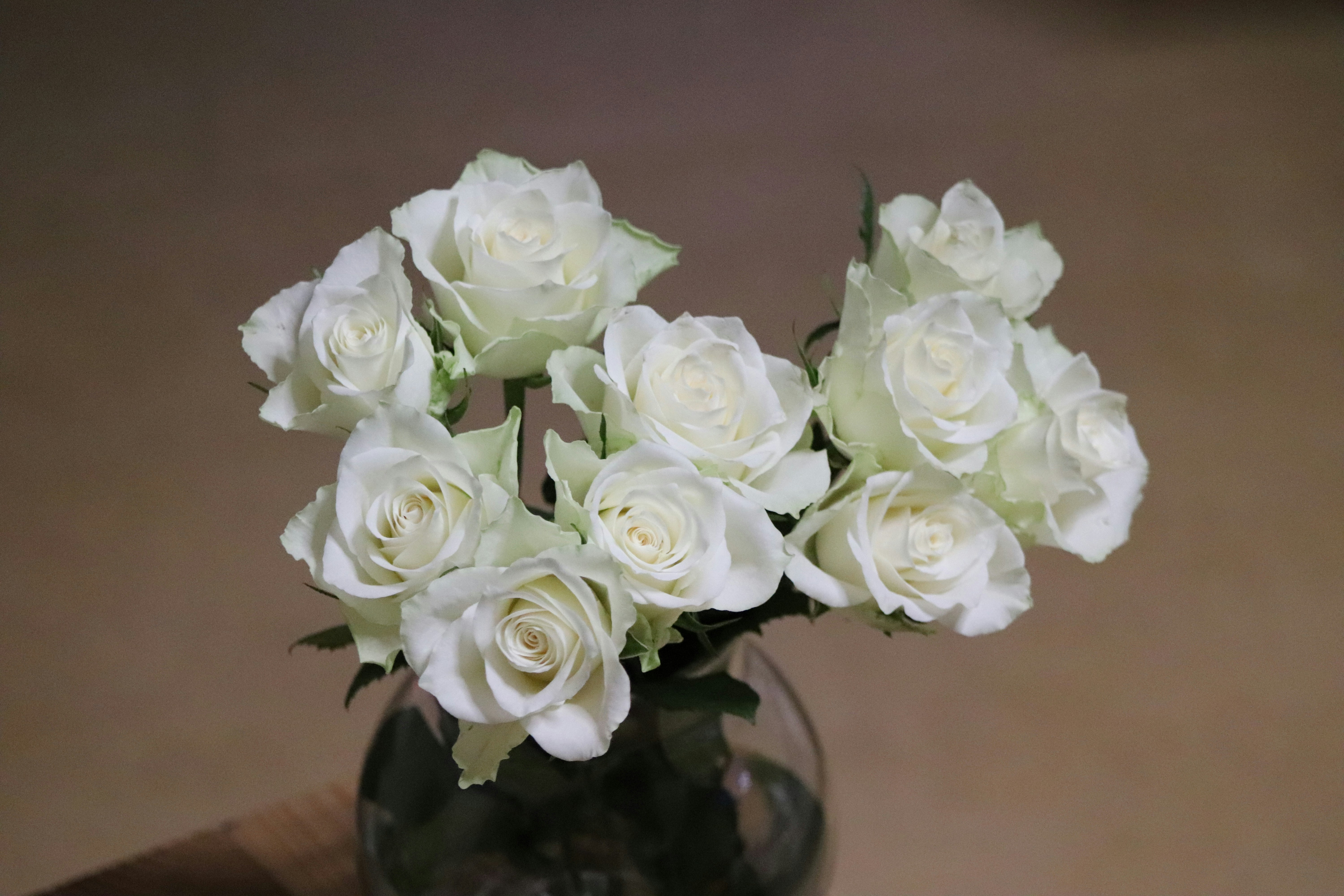 Photo by cancelcloud