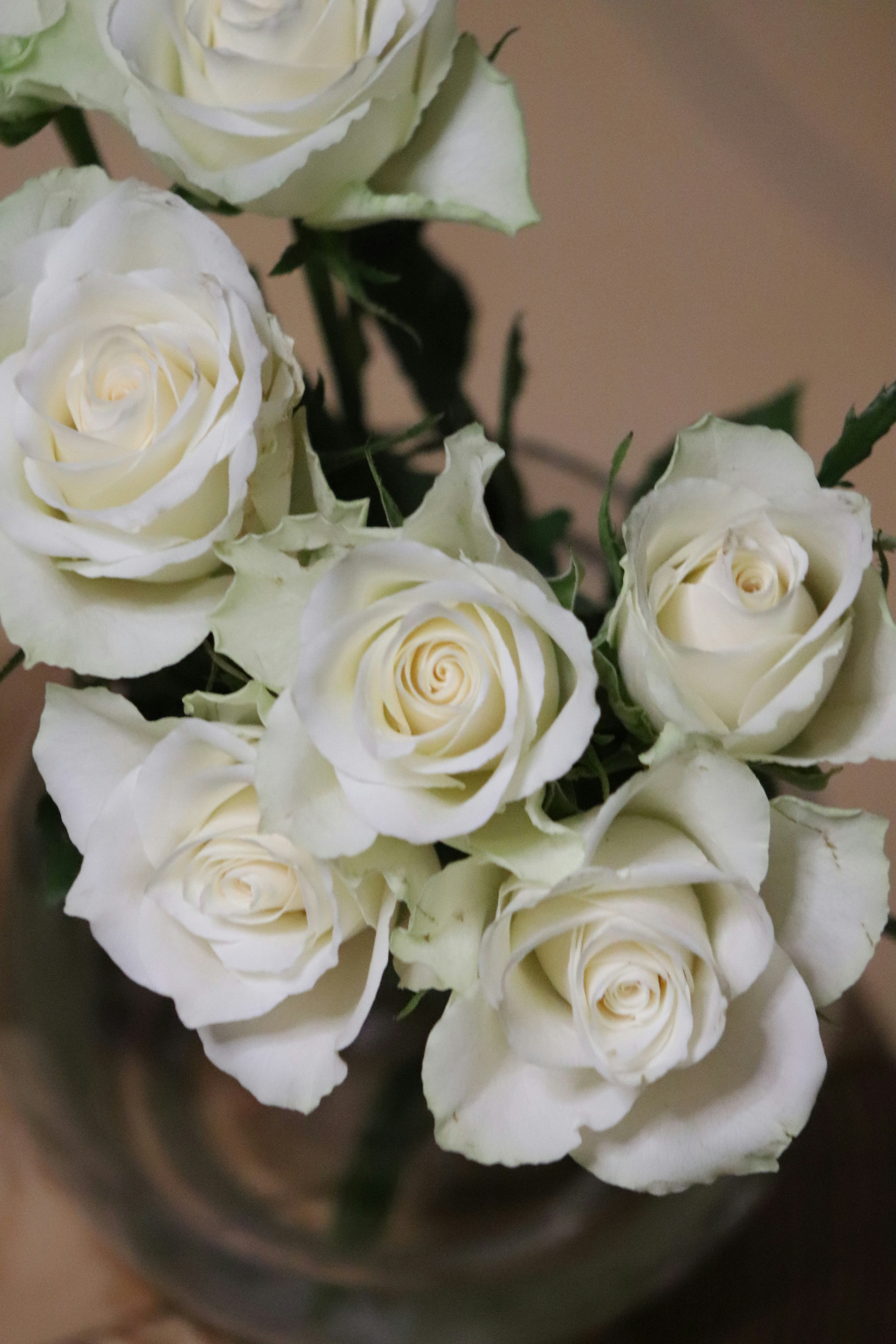 Photo by cancelcloud