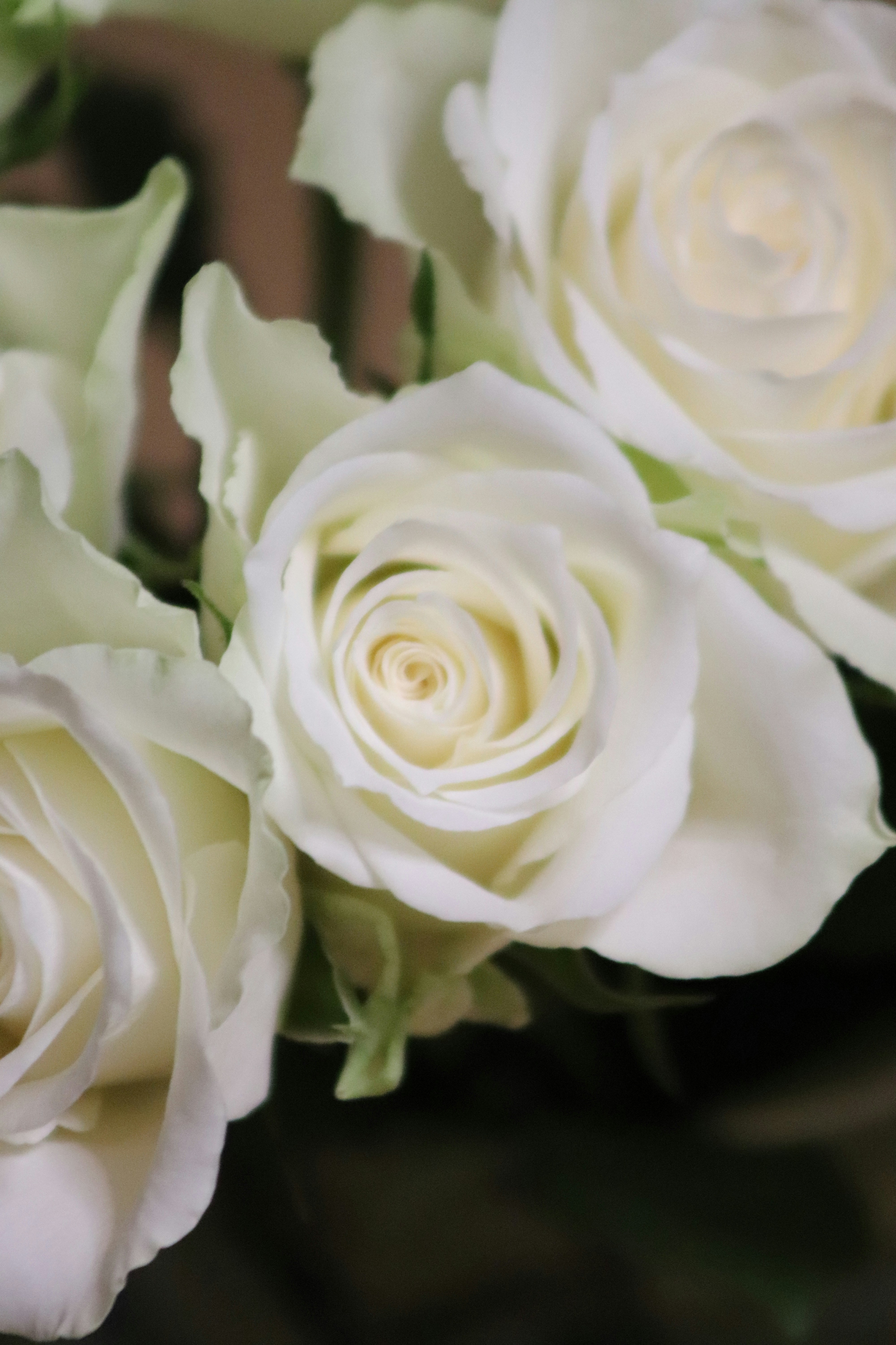 Photo by cancelcloud