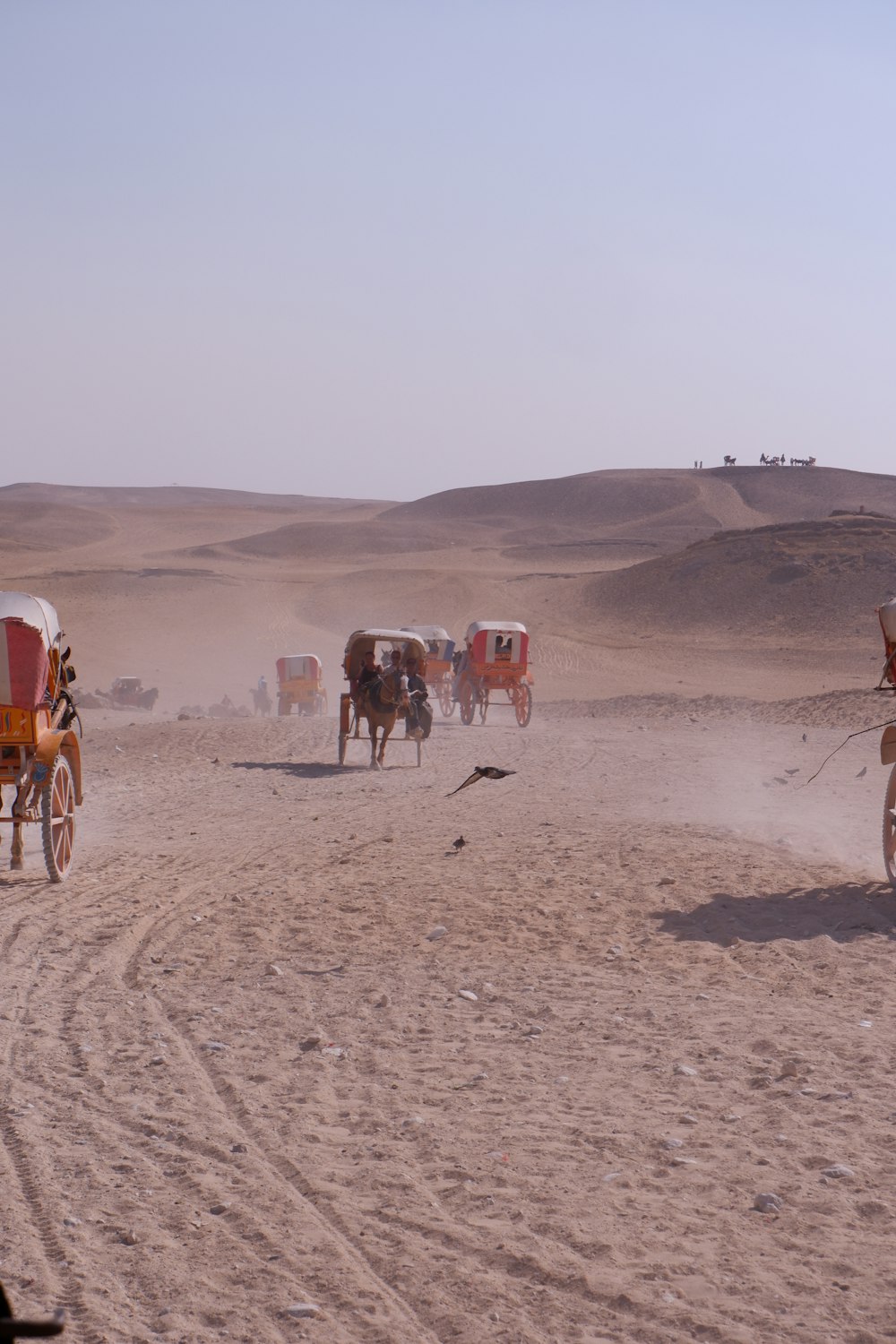 a group of horses pulling a wagon in the desert