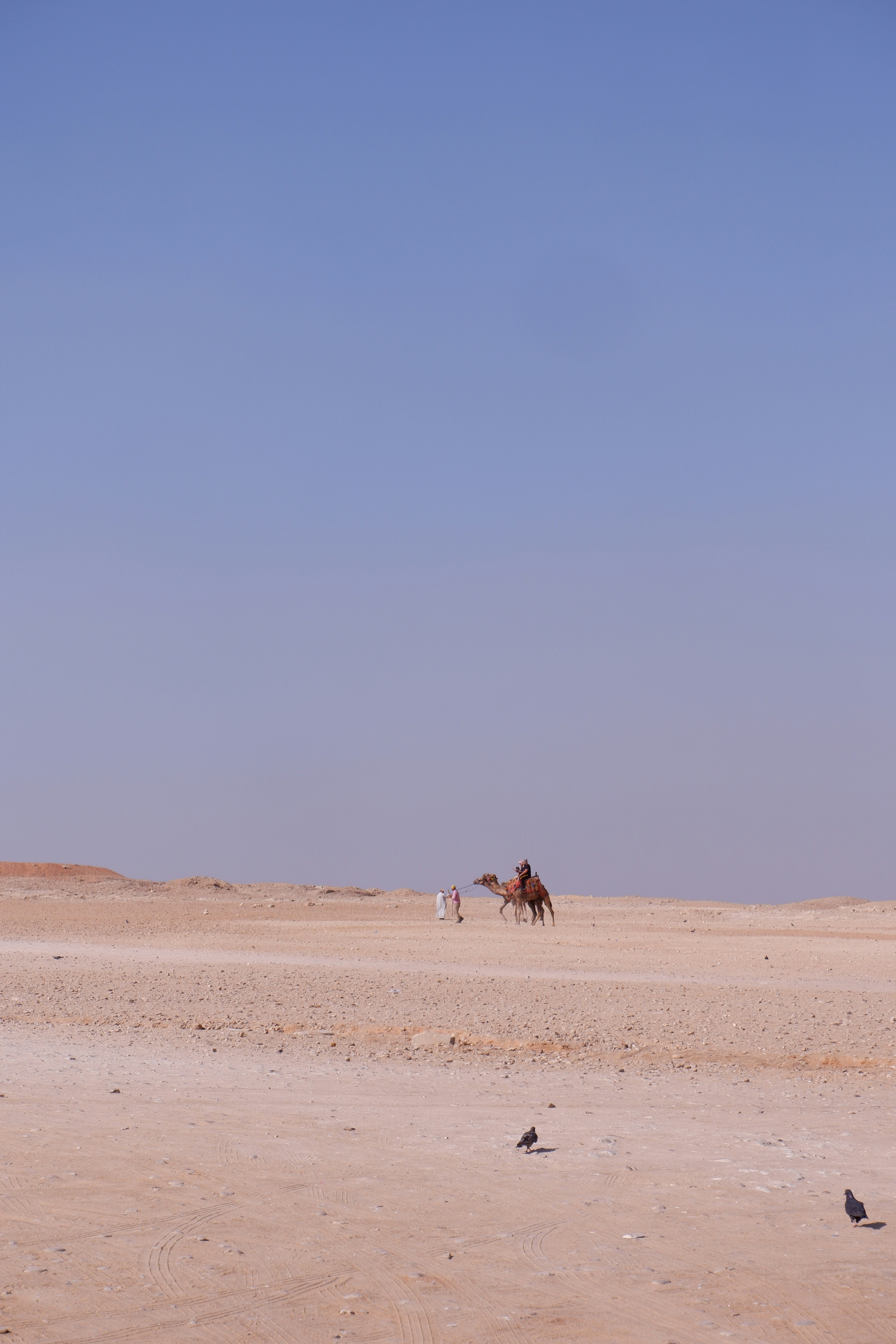 Photo by olga_bykova