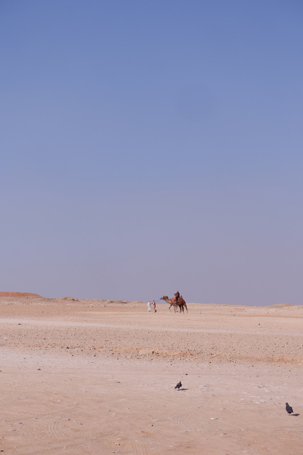 a person riding a horse in the desert