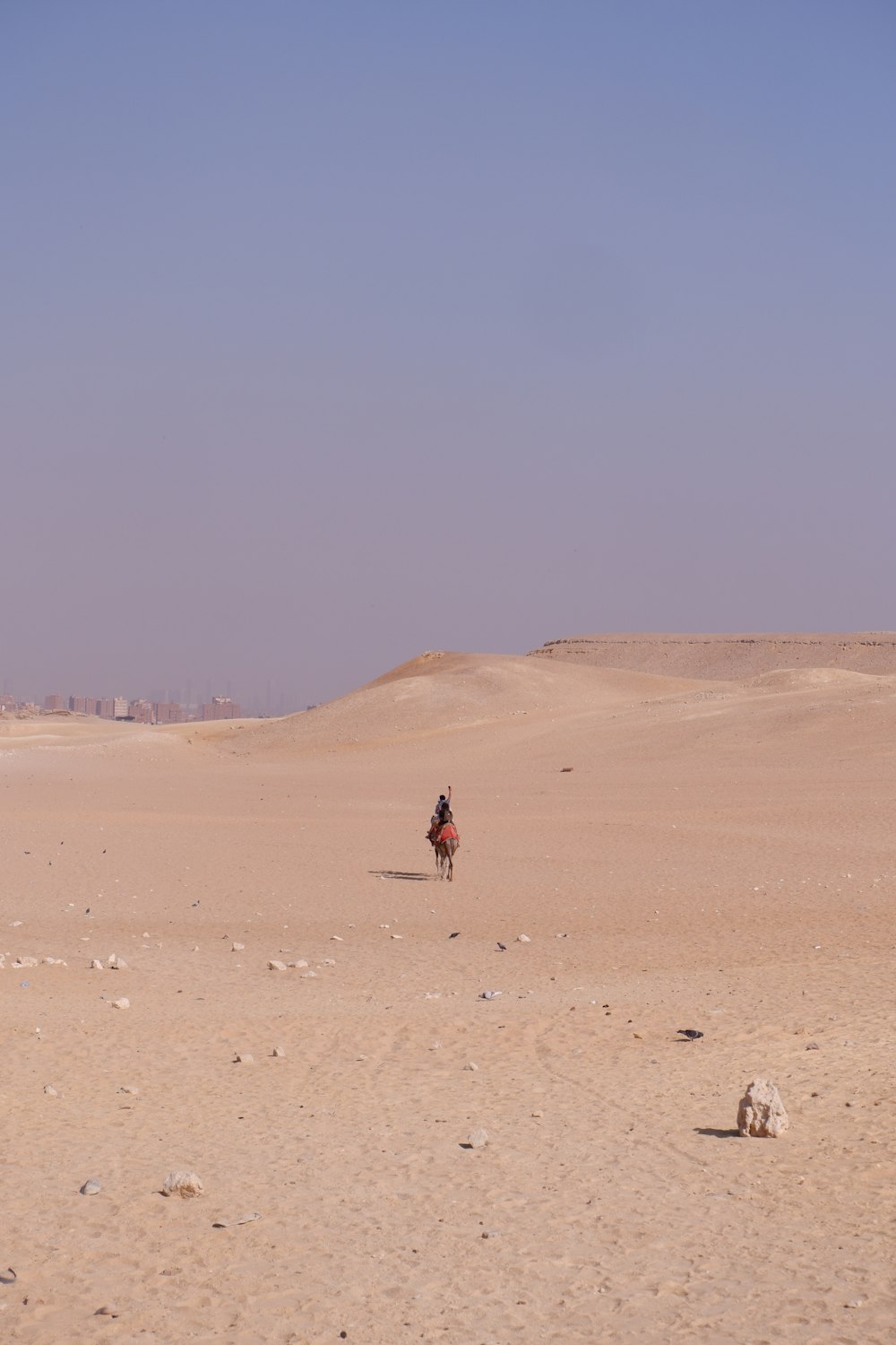 a person riding a horse in the desert