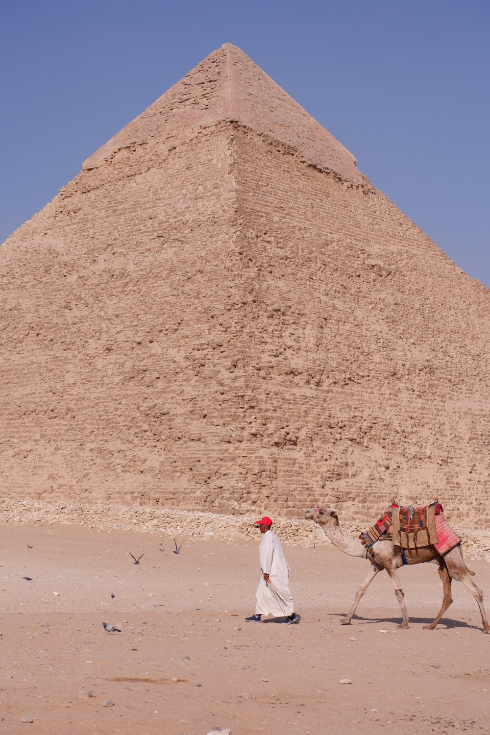 a man walking with a camel in front of a pyramid