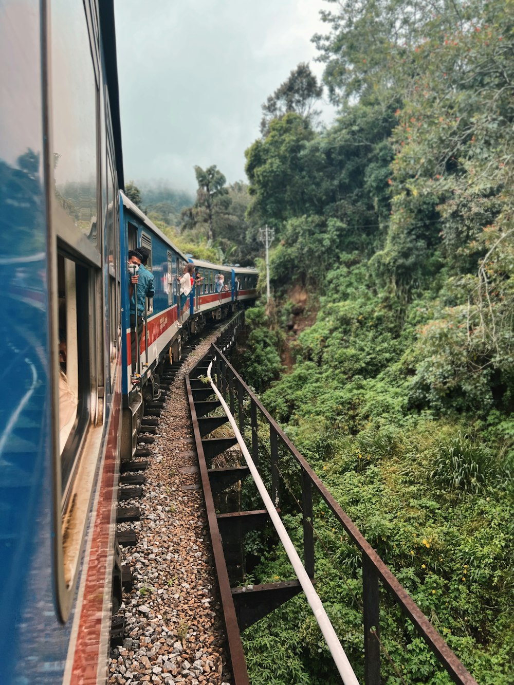 a blue train traveling through a lush green forest