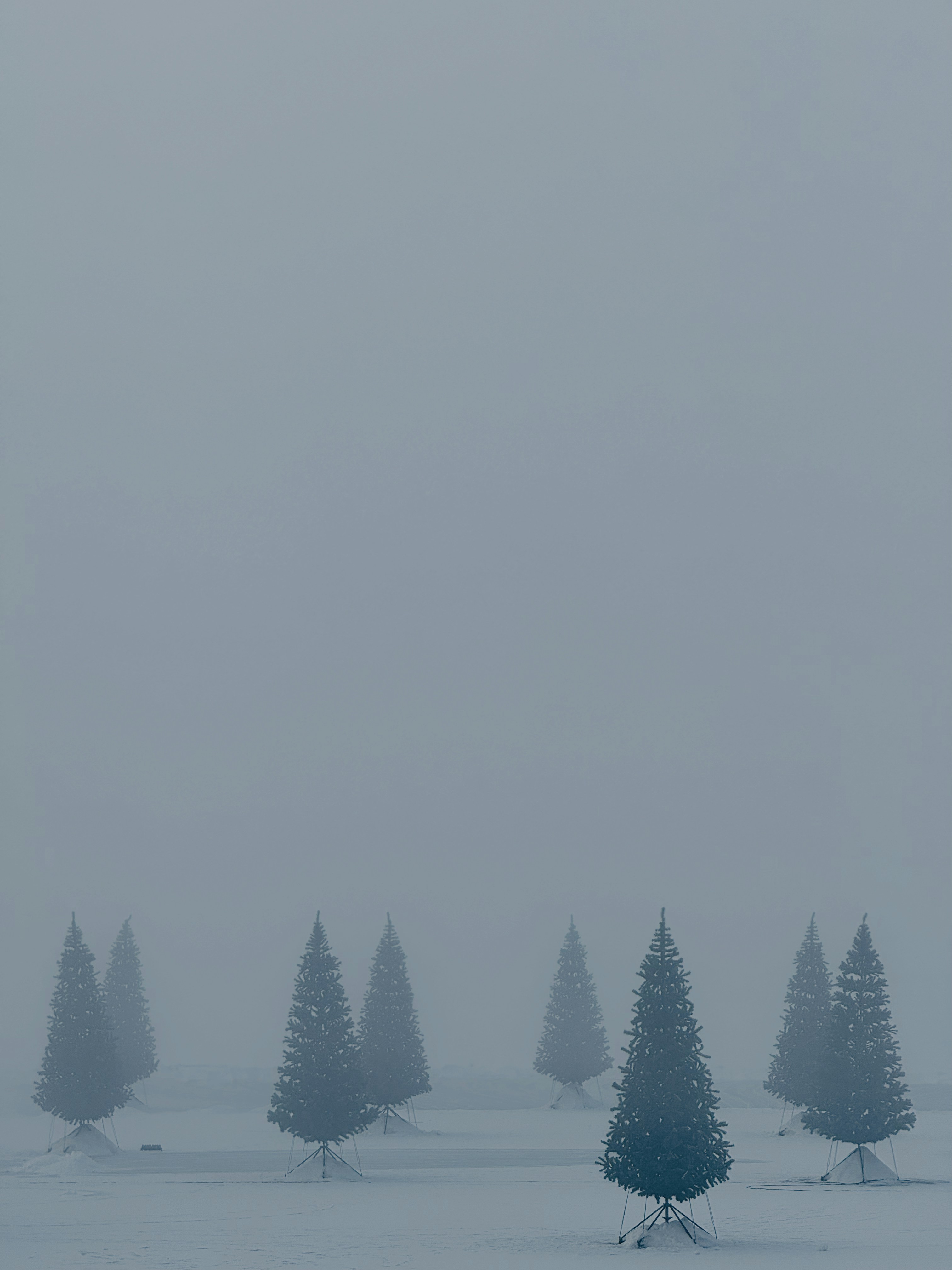 a group of trees that are standing in the snow