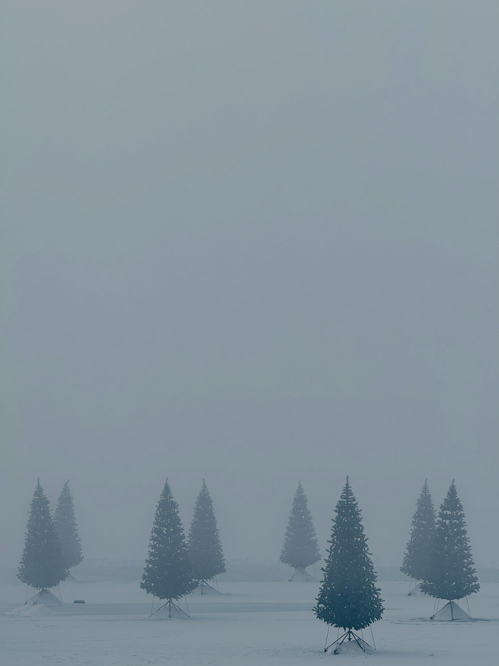 a group of trees that are standing in the snow