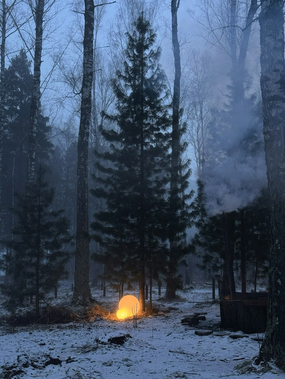 a fire in the middle of a snowy forest