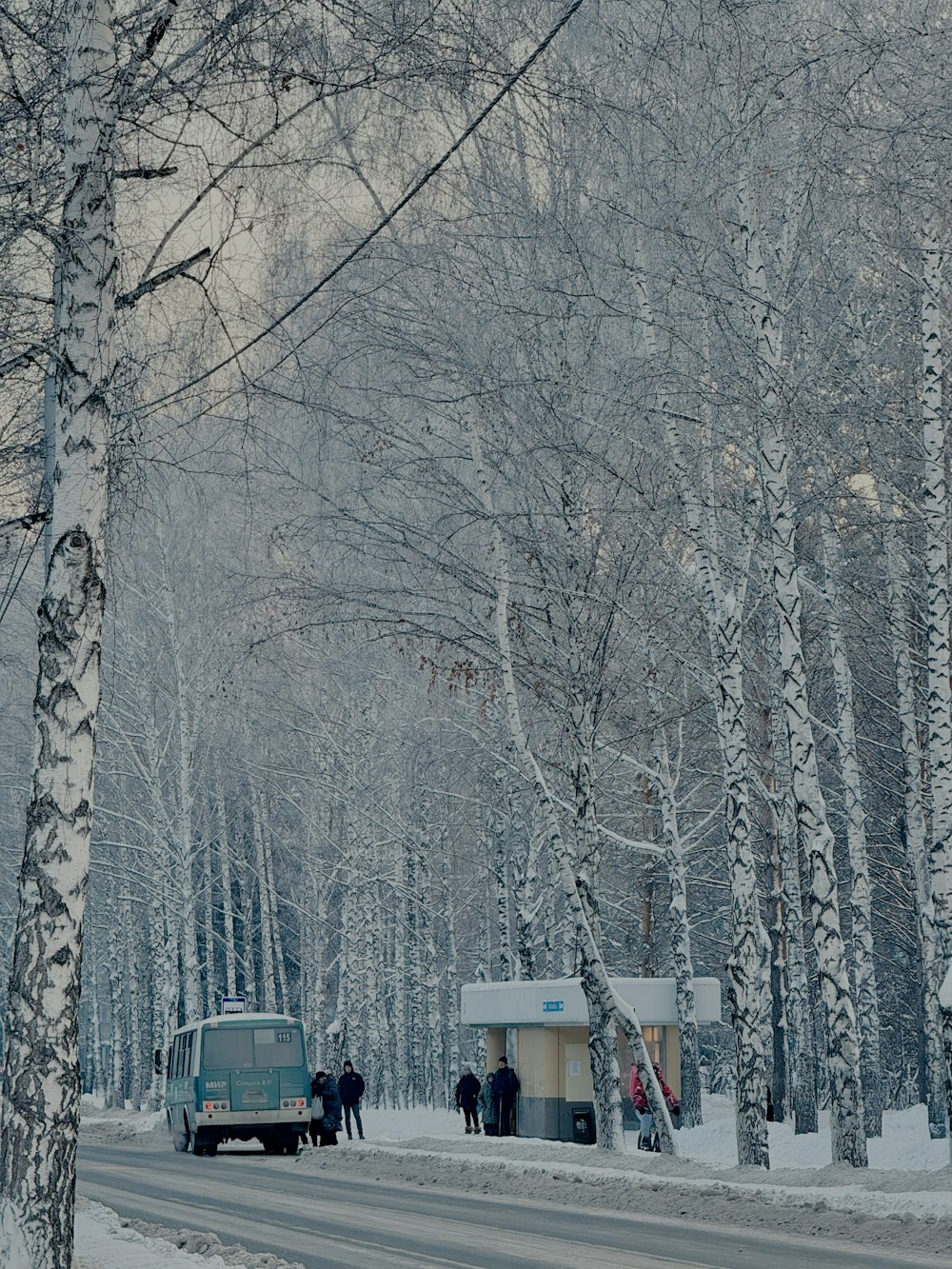 a van parked on the side of a snowy road