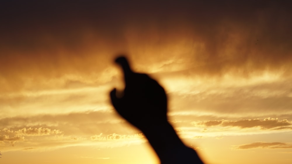 a silhouette of a person holding a cell phone