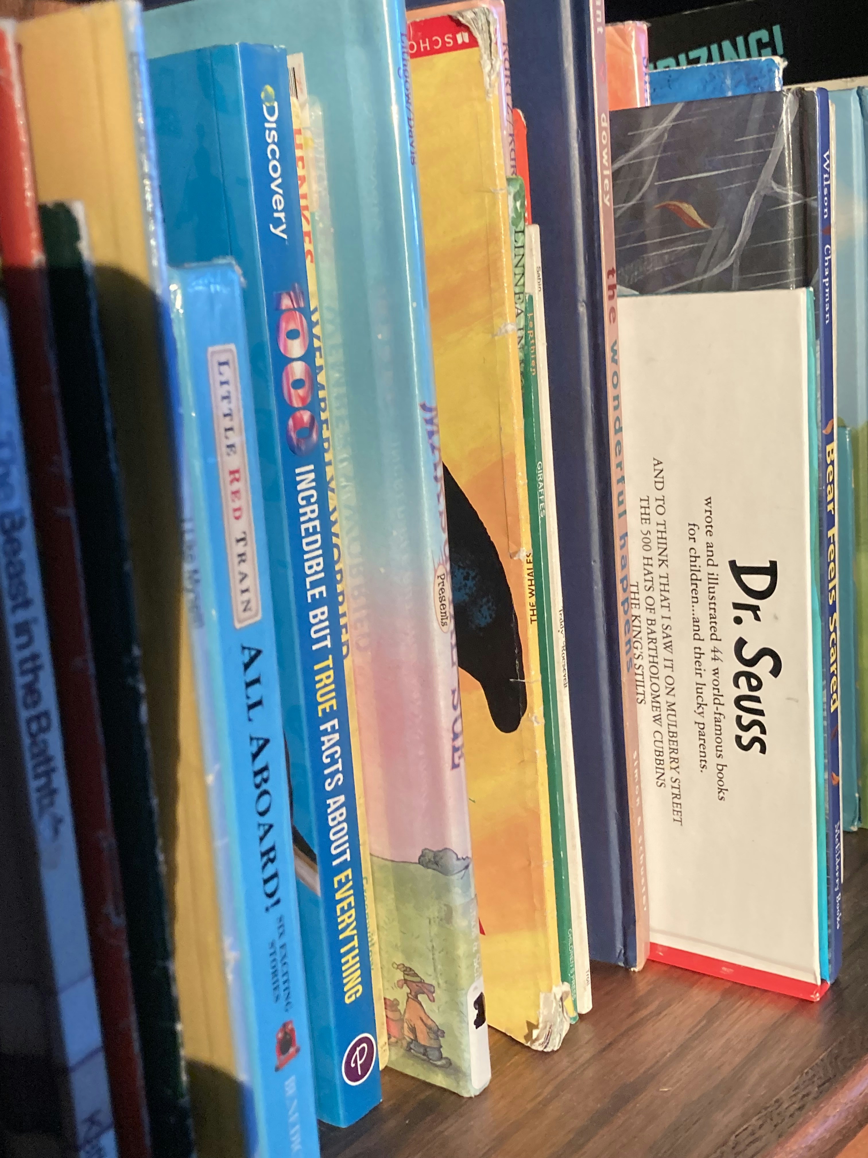 Award winning 3rd and 4th grade books Ages 7-9