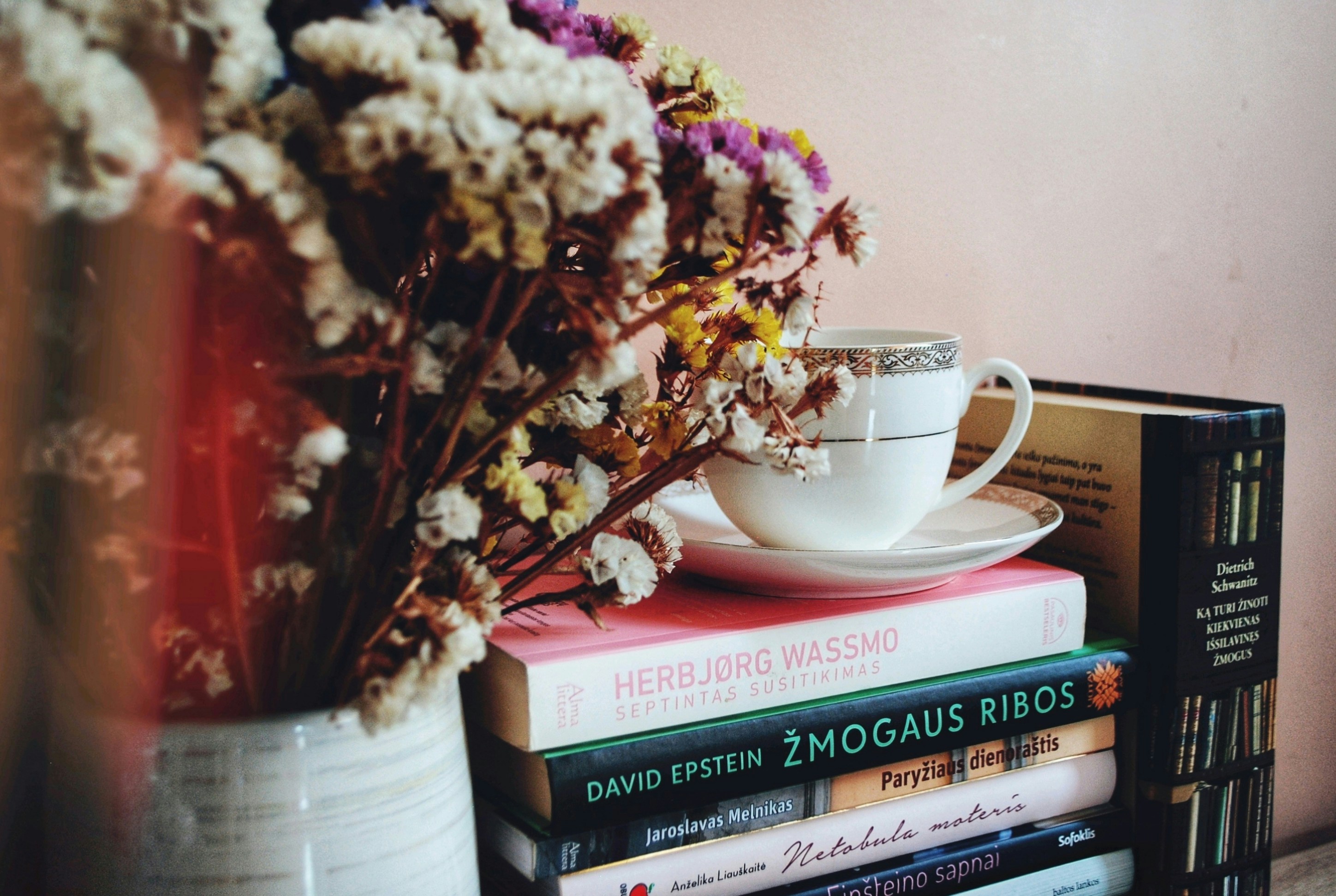 Photo by aurorafox
