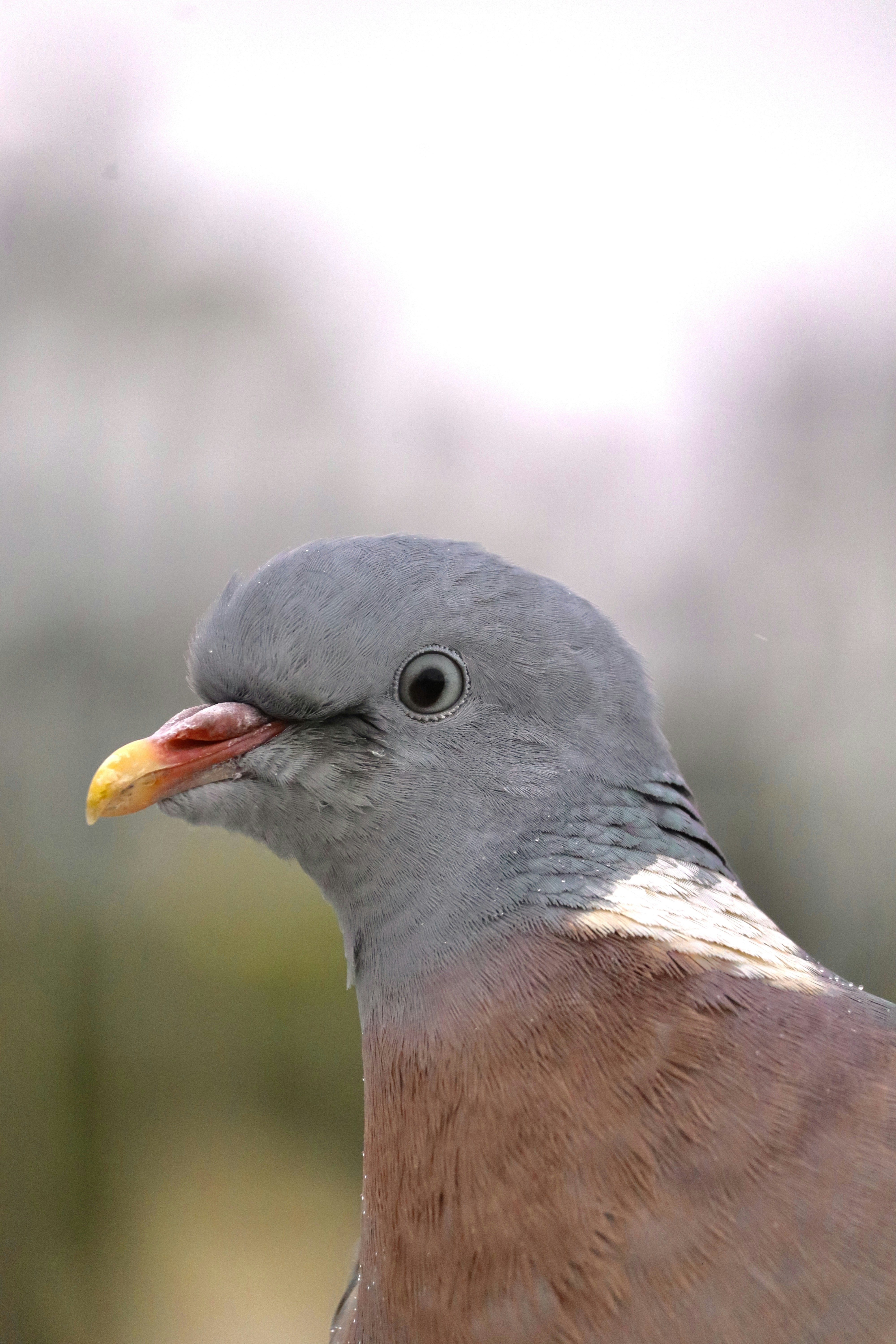 Photo by johnnygthorpe11