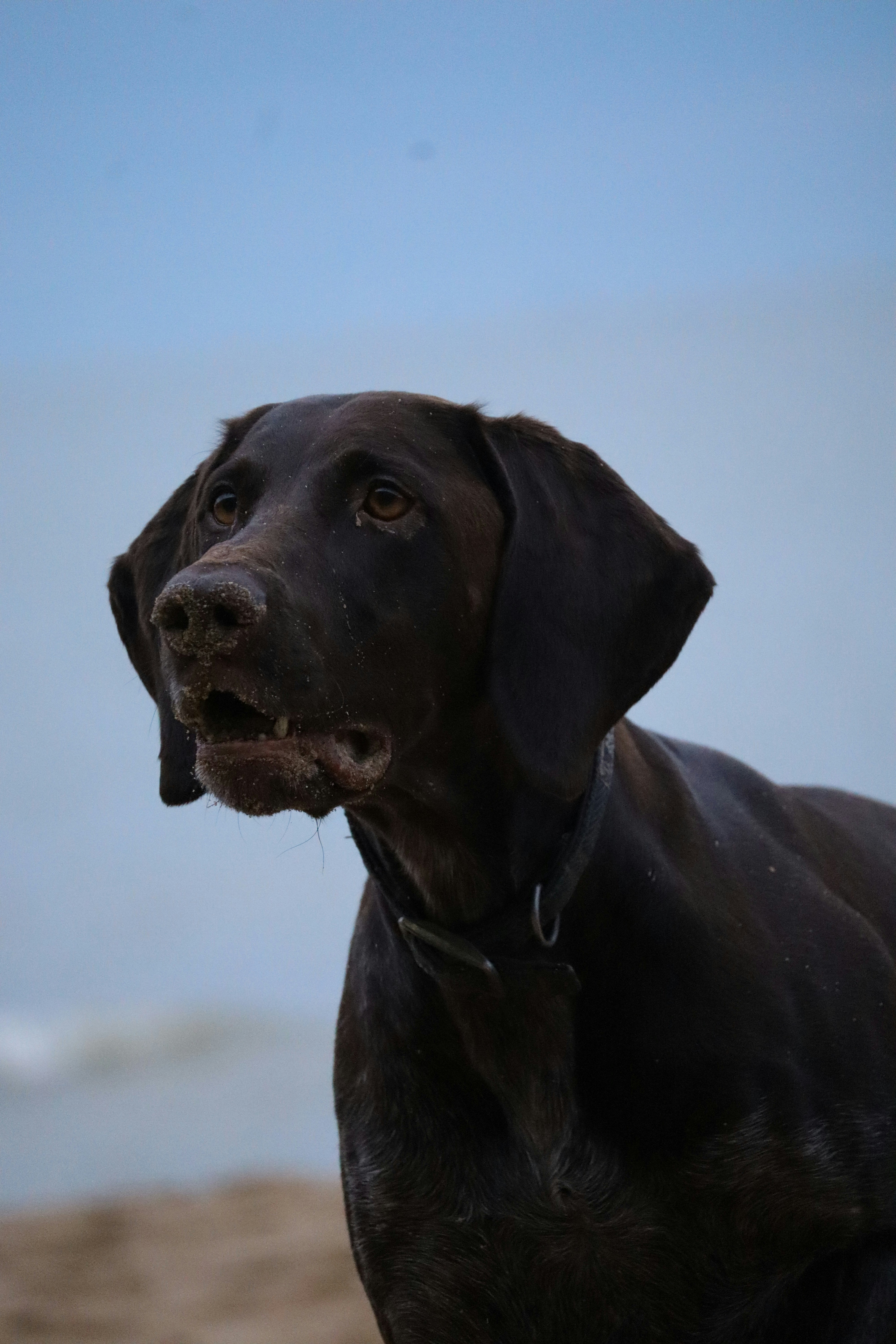 Photo by johnnygthorpe11