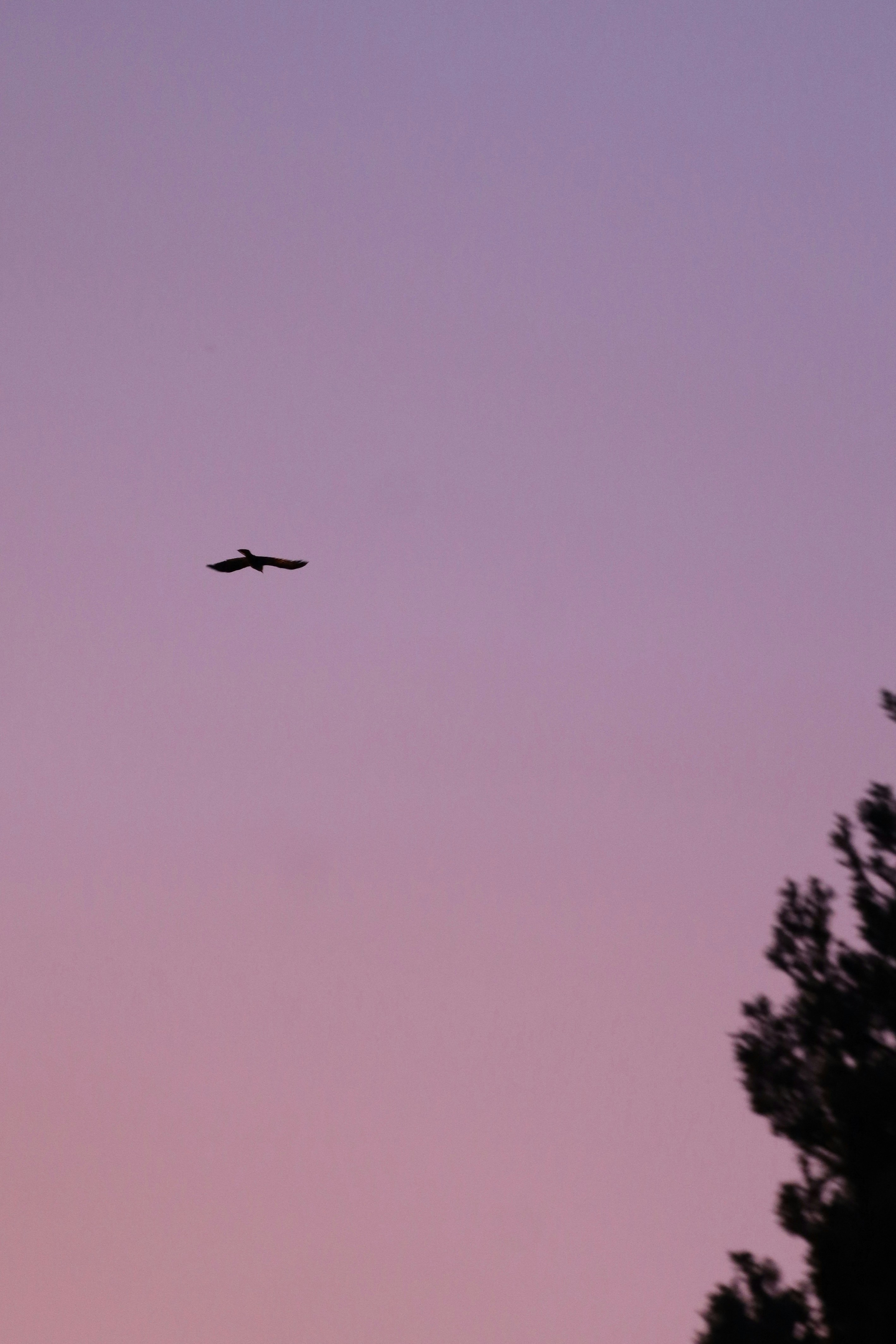 Photo by johnnygthorpe11