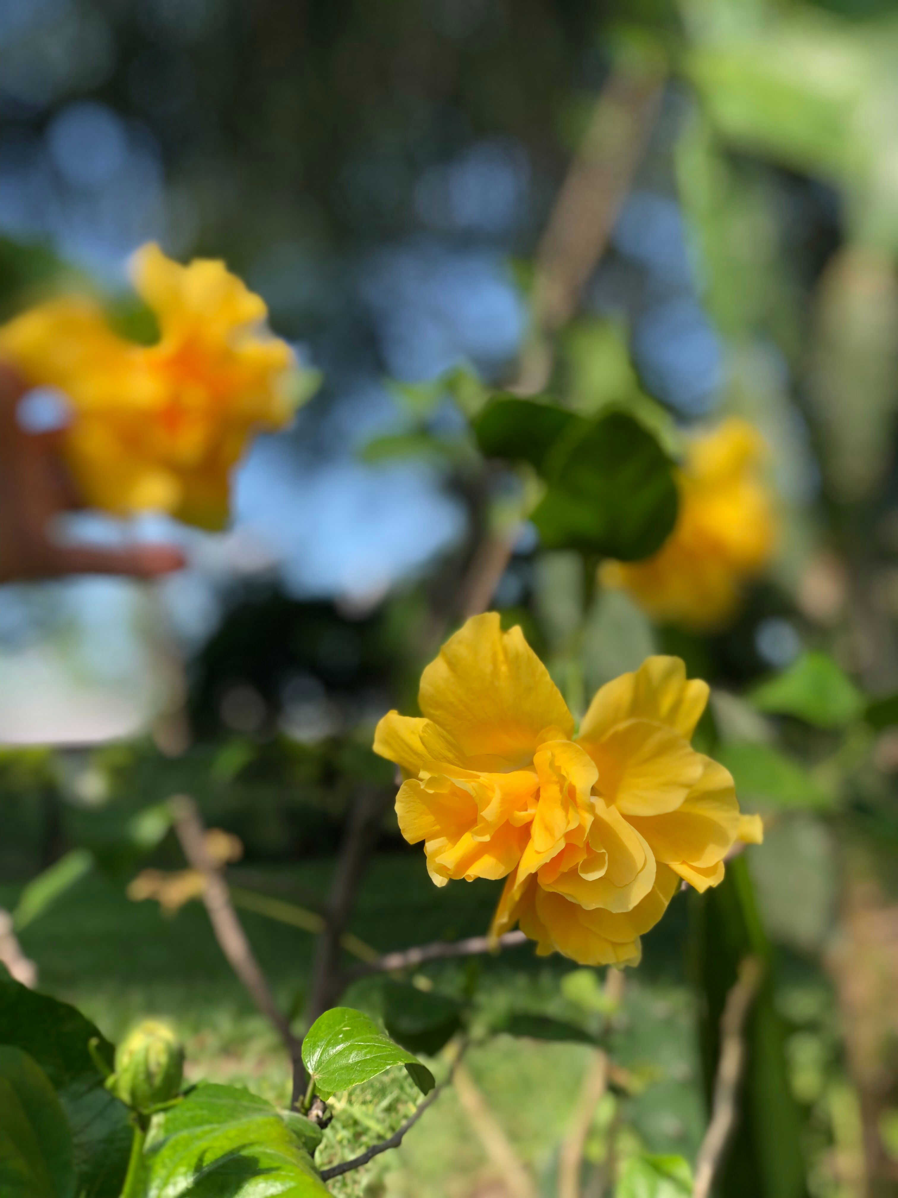 Photo by sunshinestudio82