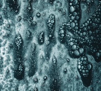 a black and white photo of water bubbles