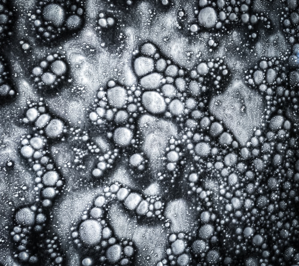 a black and white photo of water bubbles