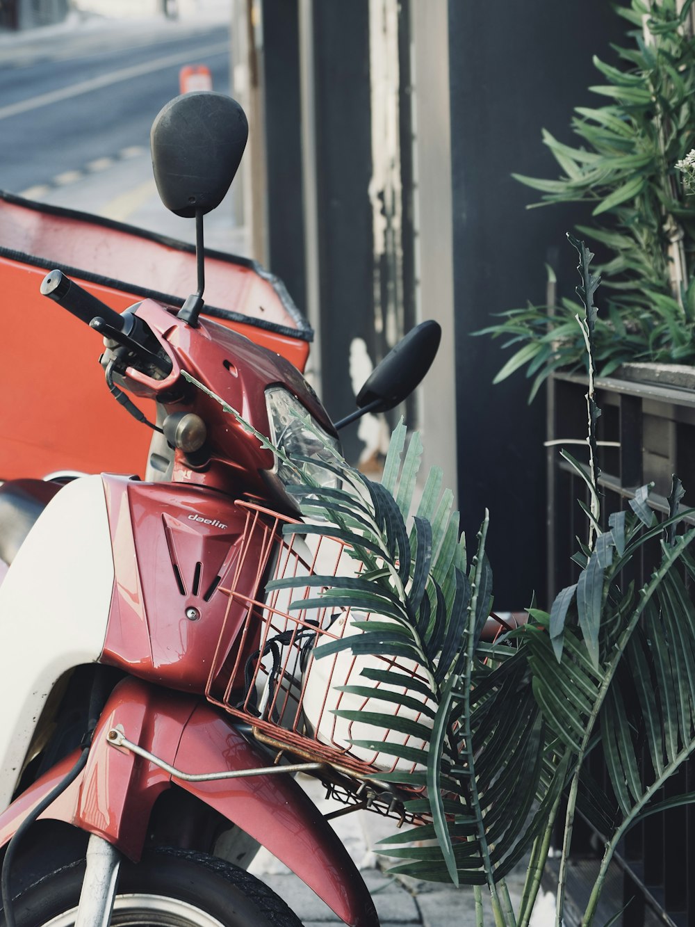 a red and white moped parked next to a plant