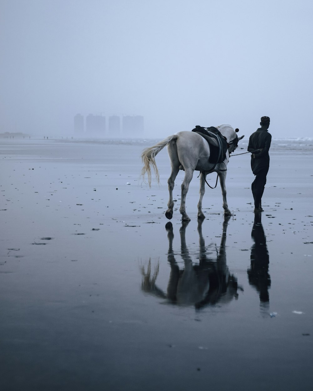 a man standing next to a white horse on a beach
