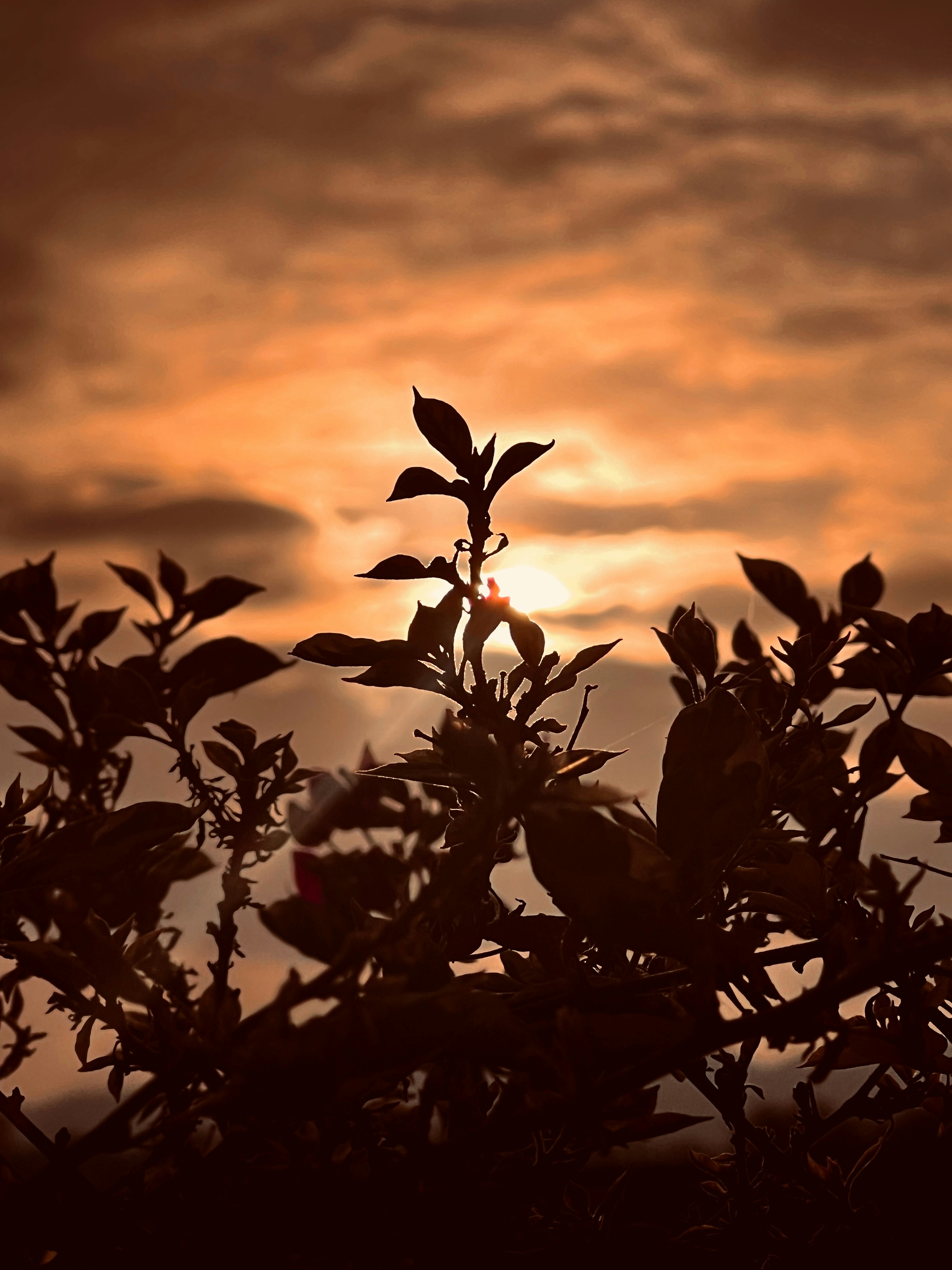 Photo by thanhliem178