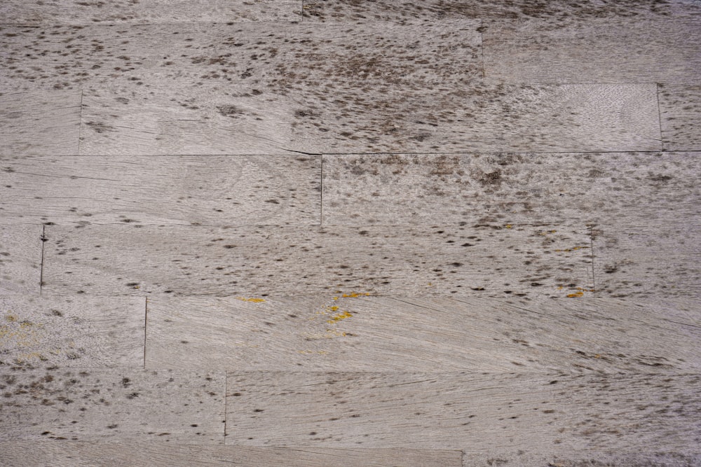 a close up of a wooden floor with dirt on it