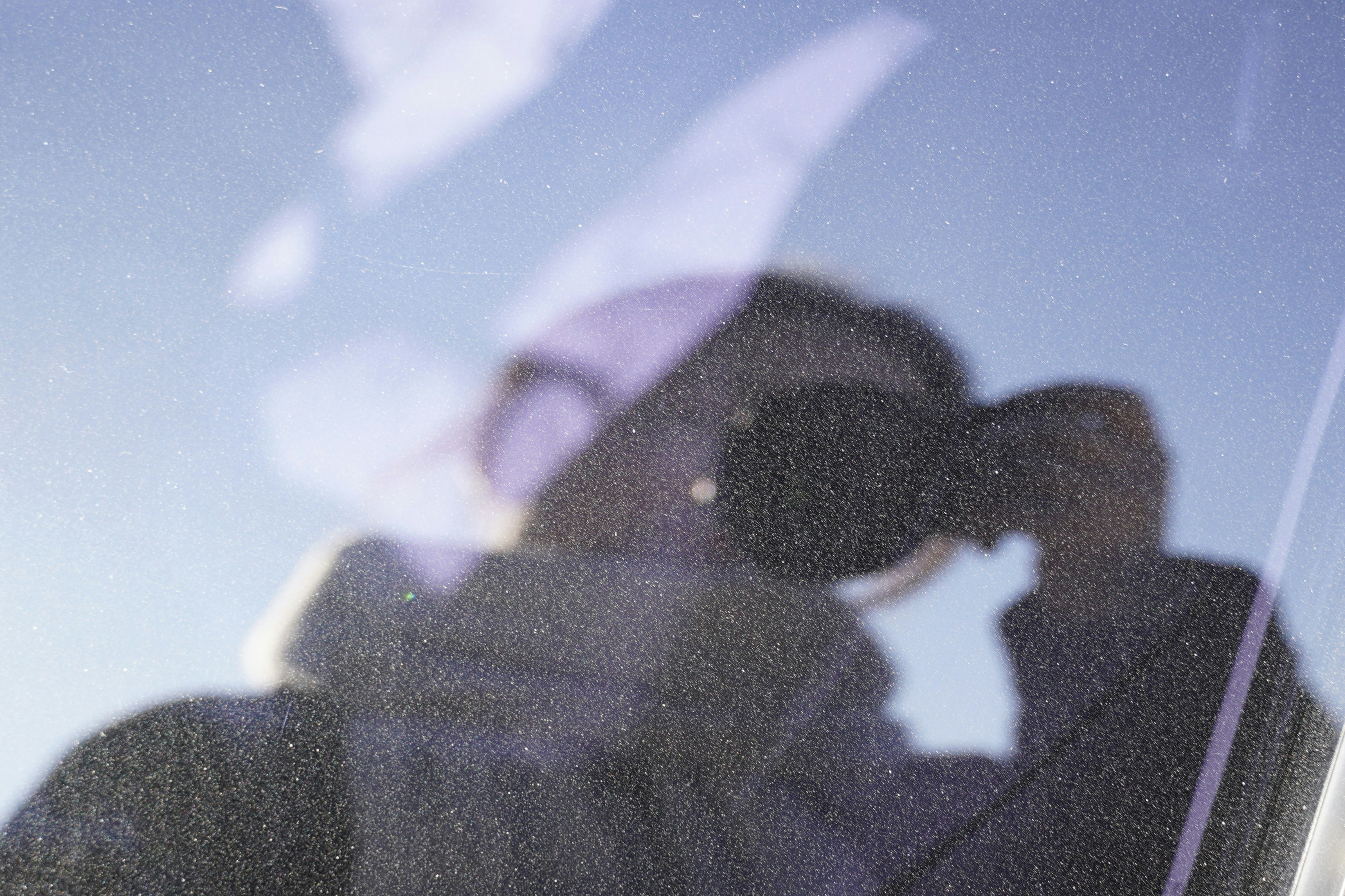 Photo by lifeinkorea