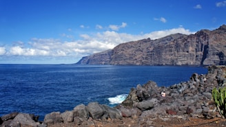 acantidalos de los gigantes en tenerife