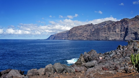 acantidalos de los gigantes en tenerife