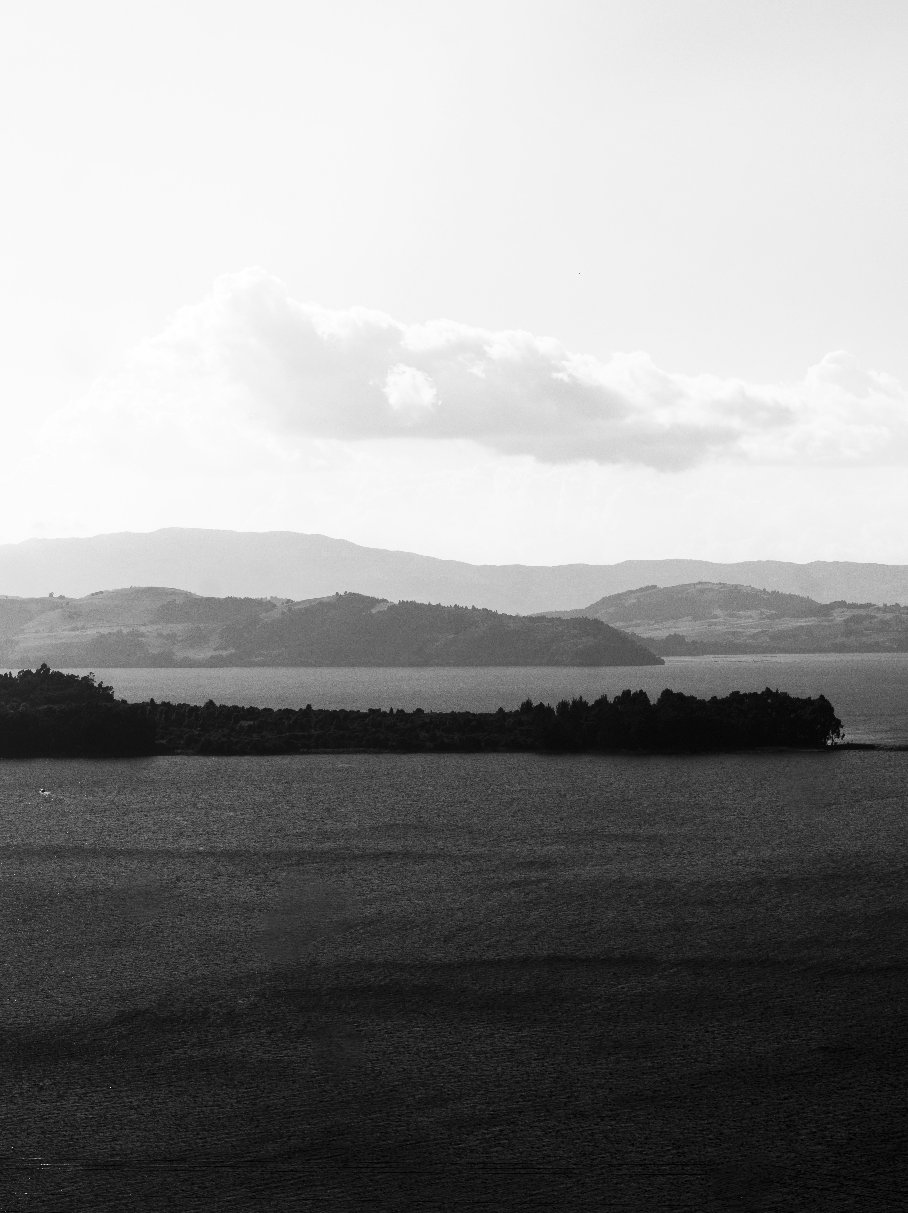 Photo by sebaslaverde_nkn