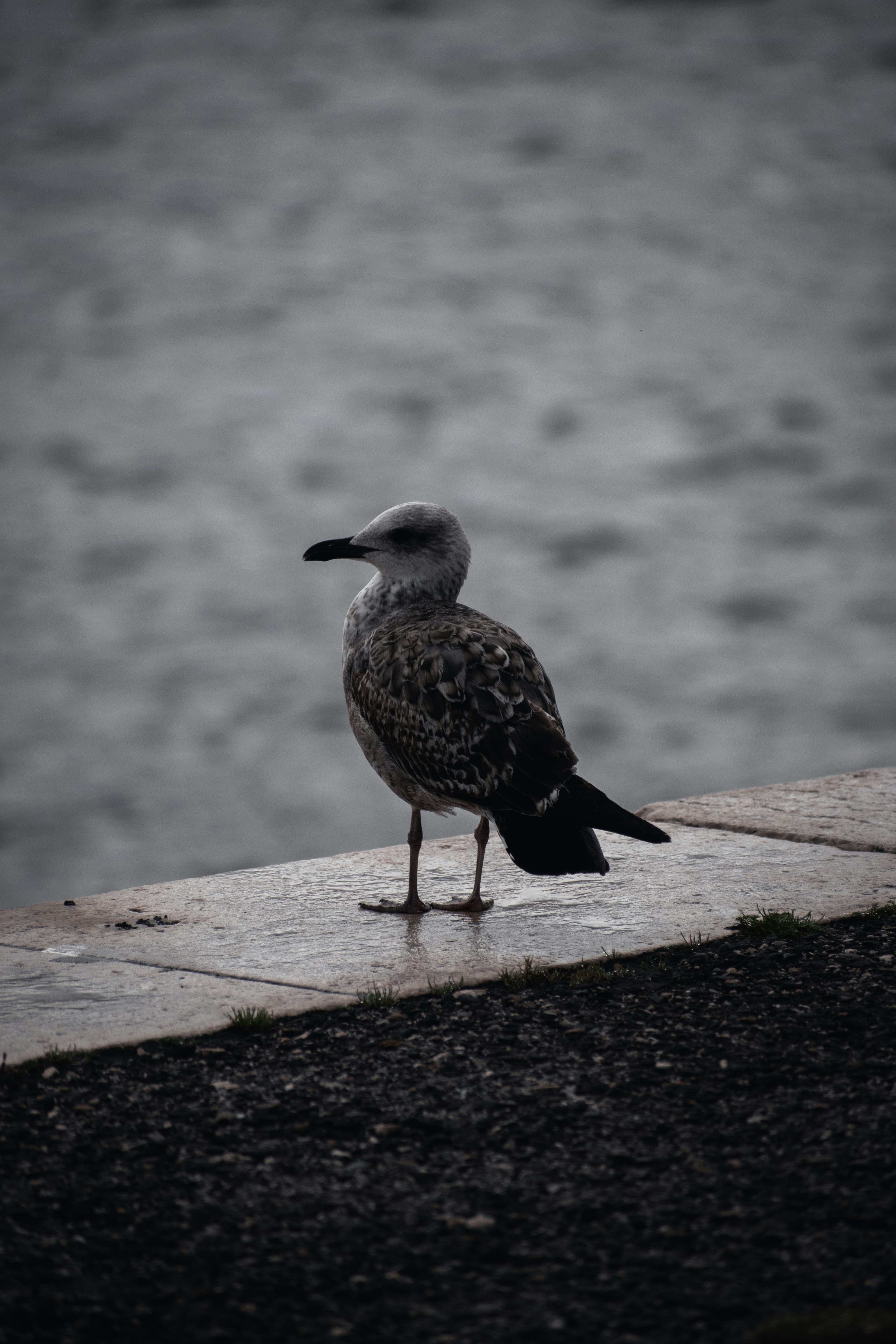Photo by sebaslaverde_nkn