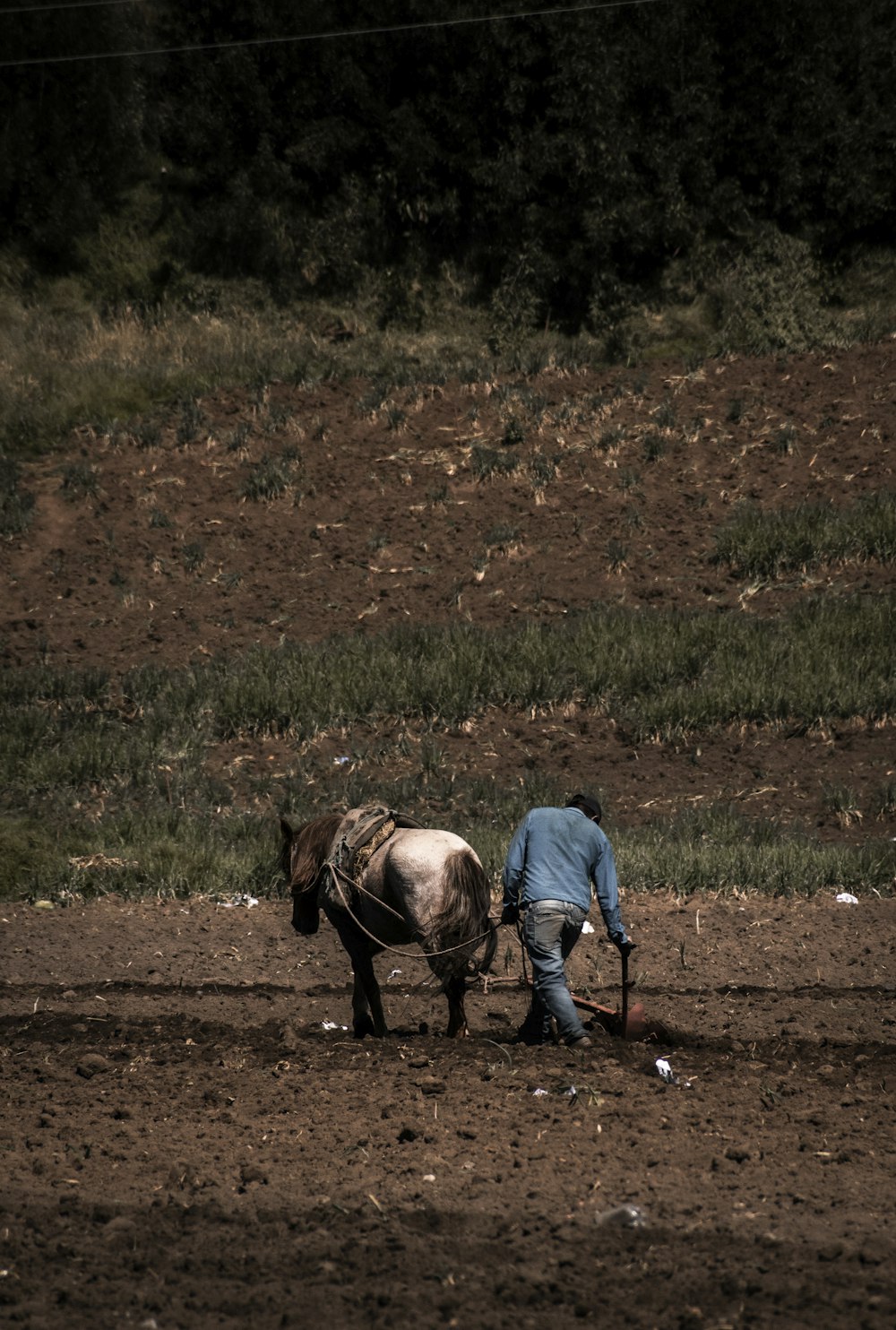 a man plowing a field with two horses
