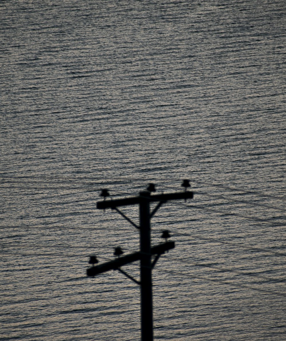 a telephone pole with birds sitting on top of it