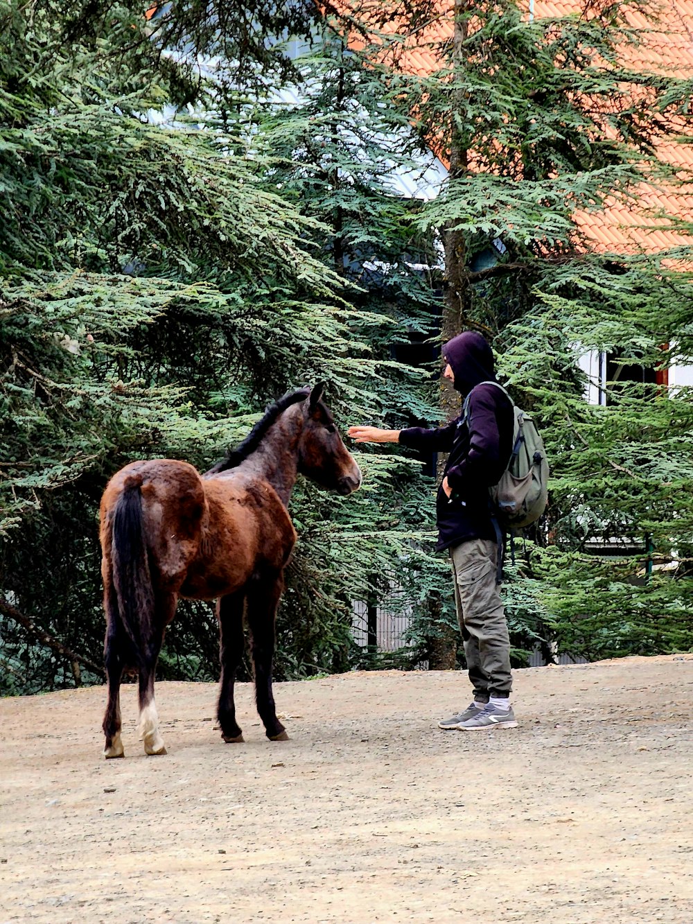 a man standing next to a brown and black horse