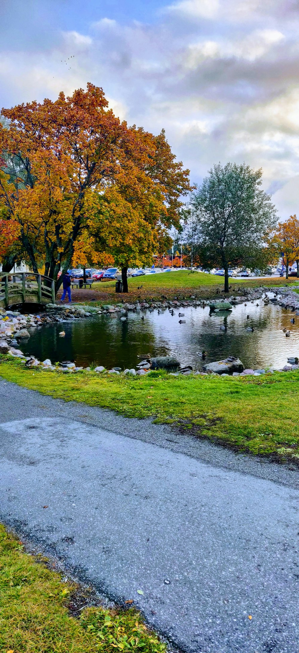 a small pond in a park with trees in the background