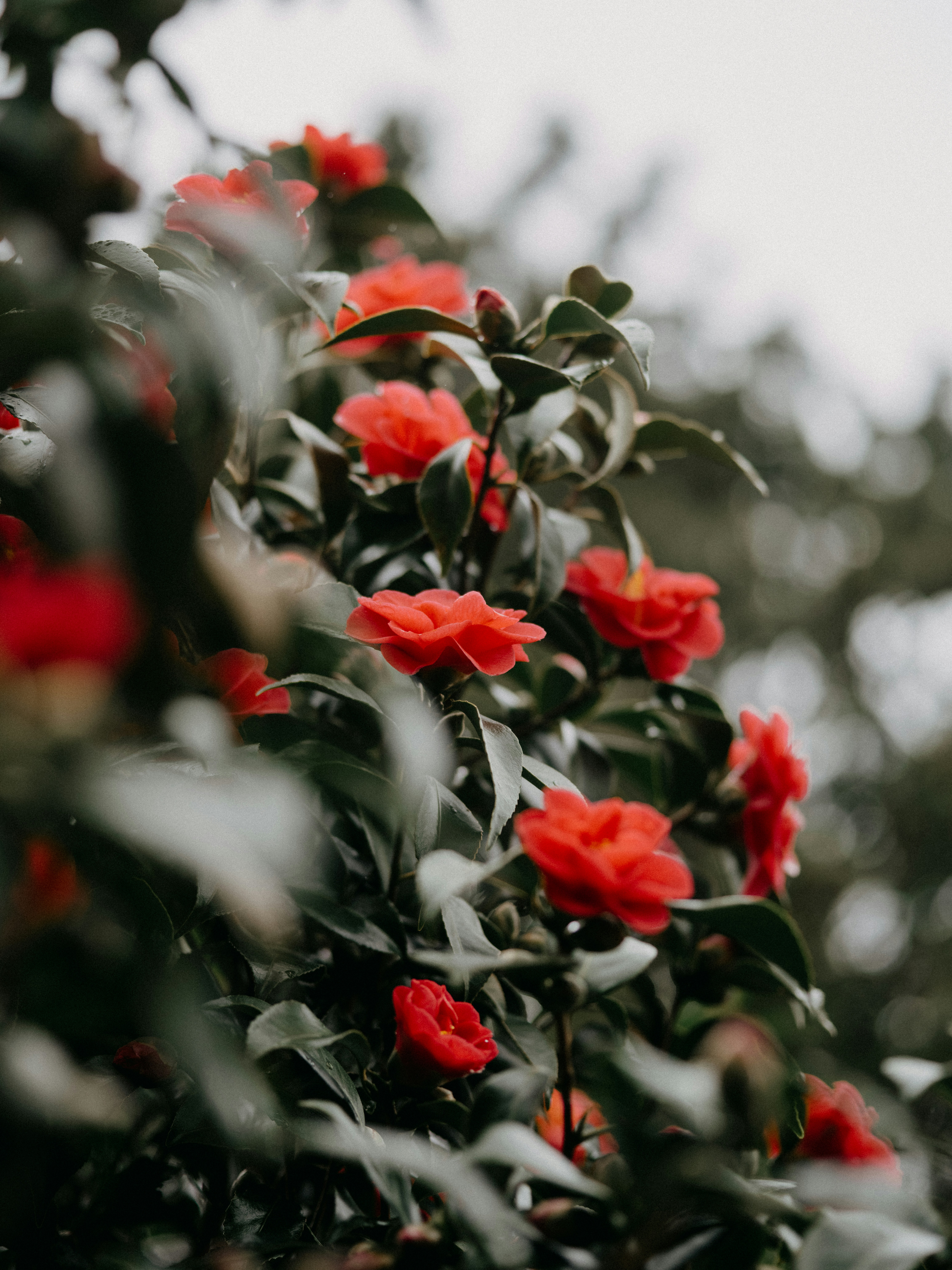 Photo by anniespratt