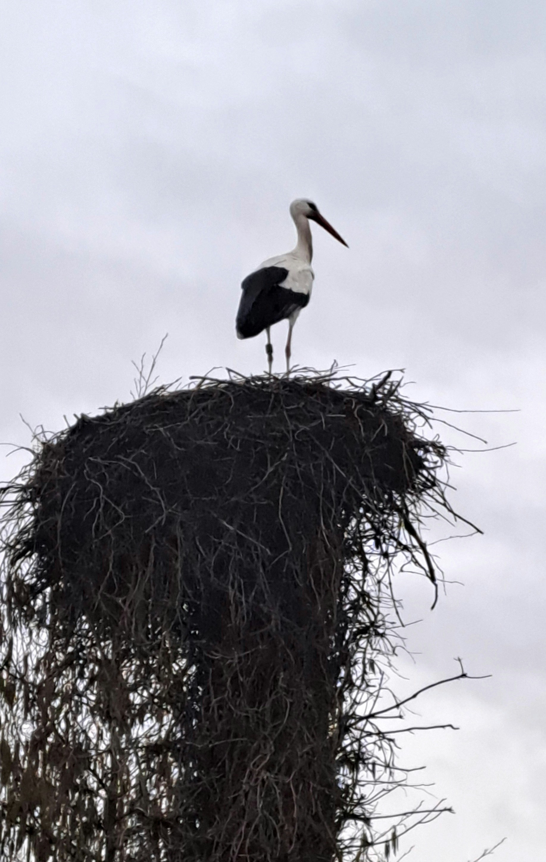 Photo by schreibmich