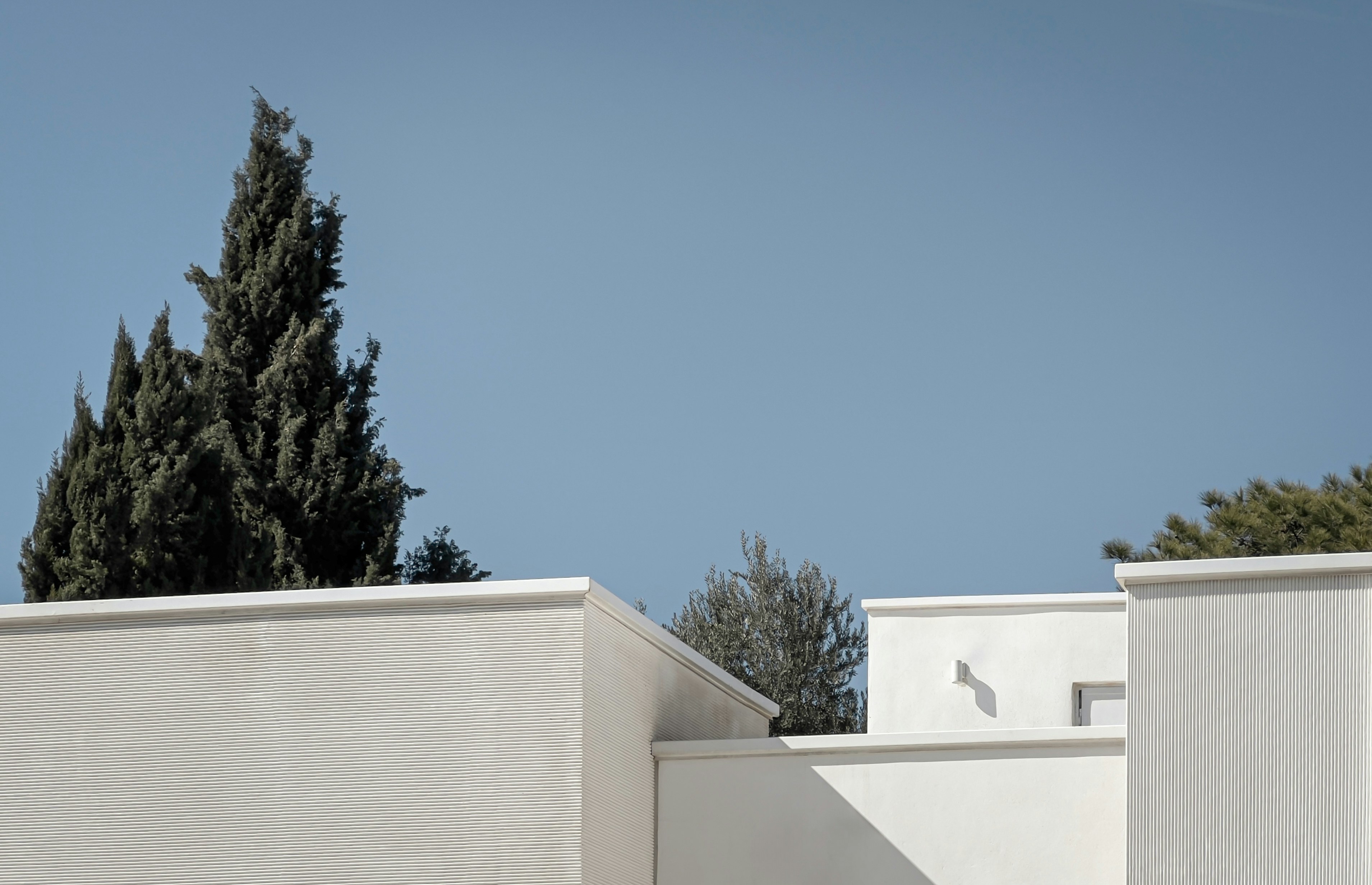 Photo by mahdinaseri