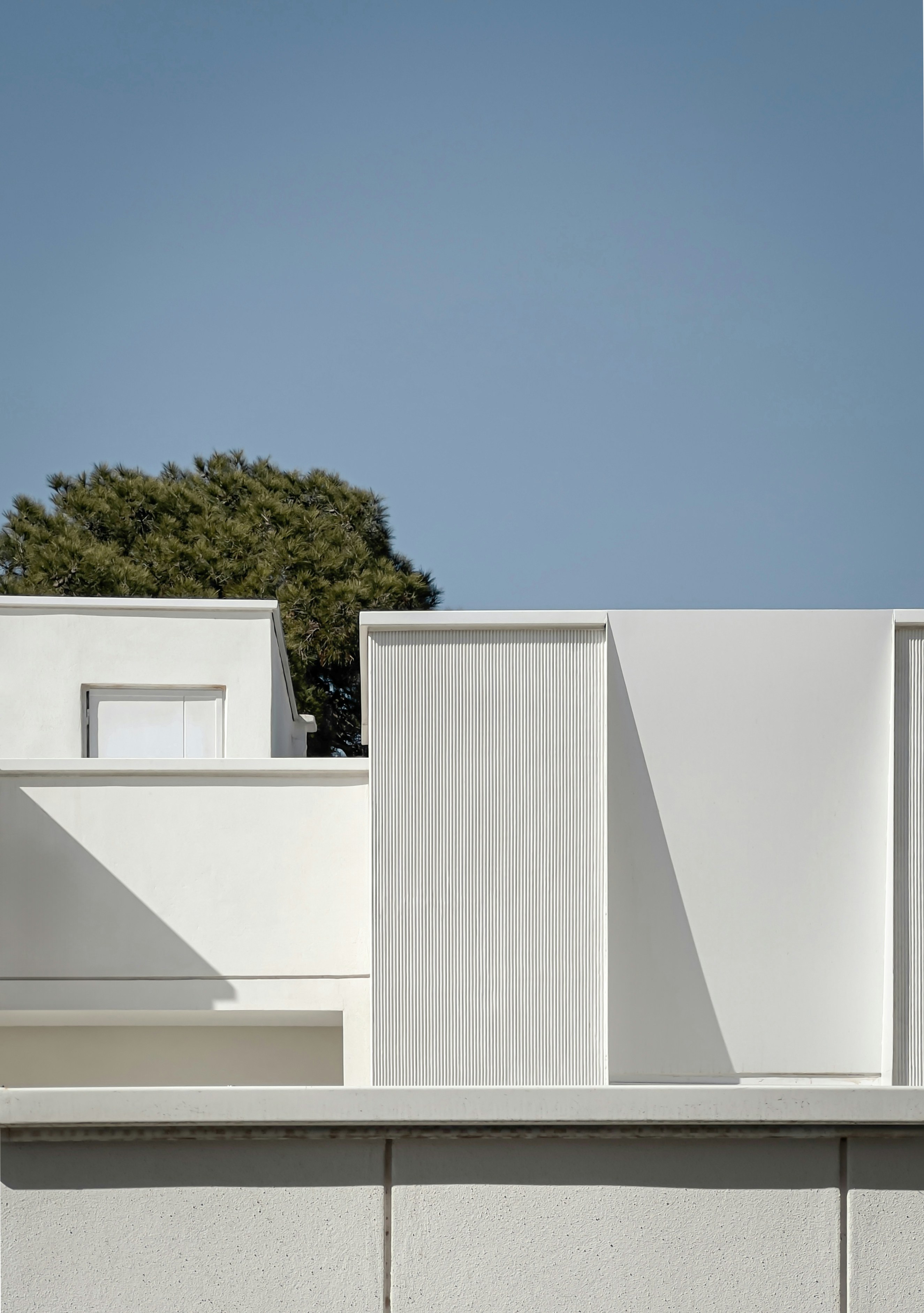 Photo by mahdinaseri