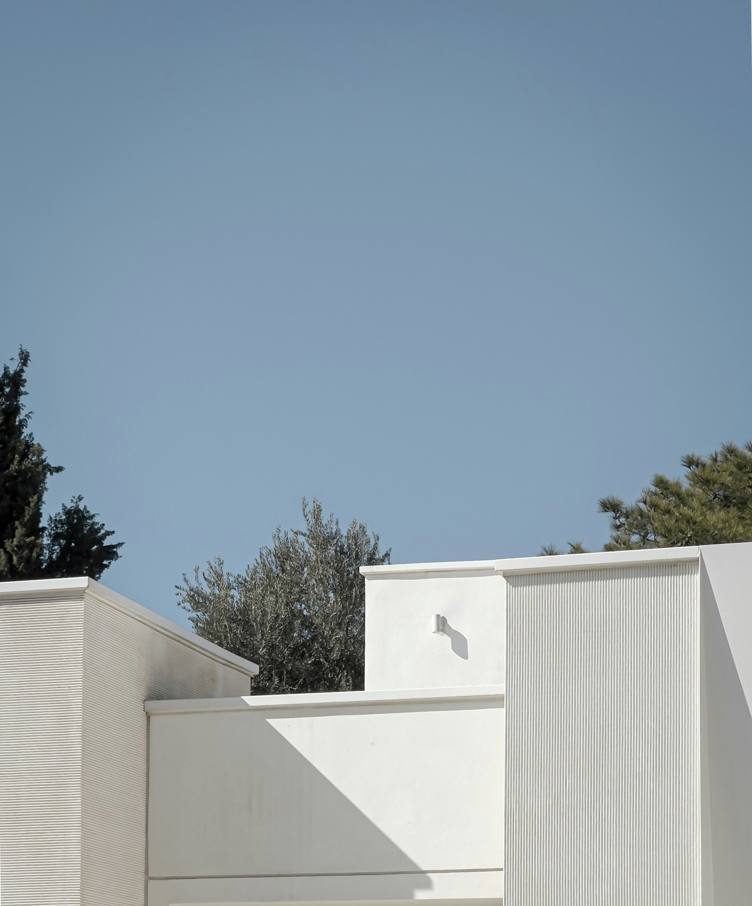 Photo by mahdinaseri